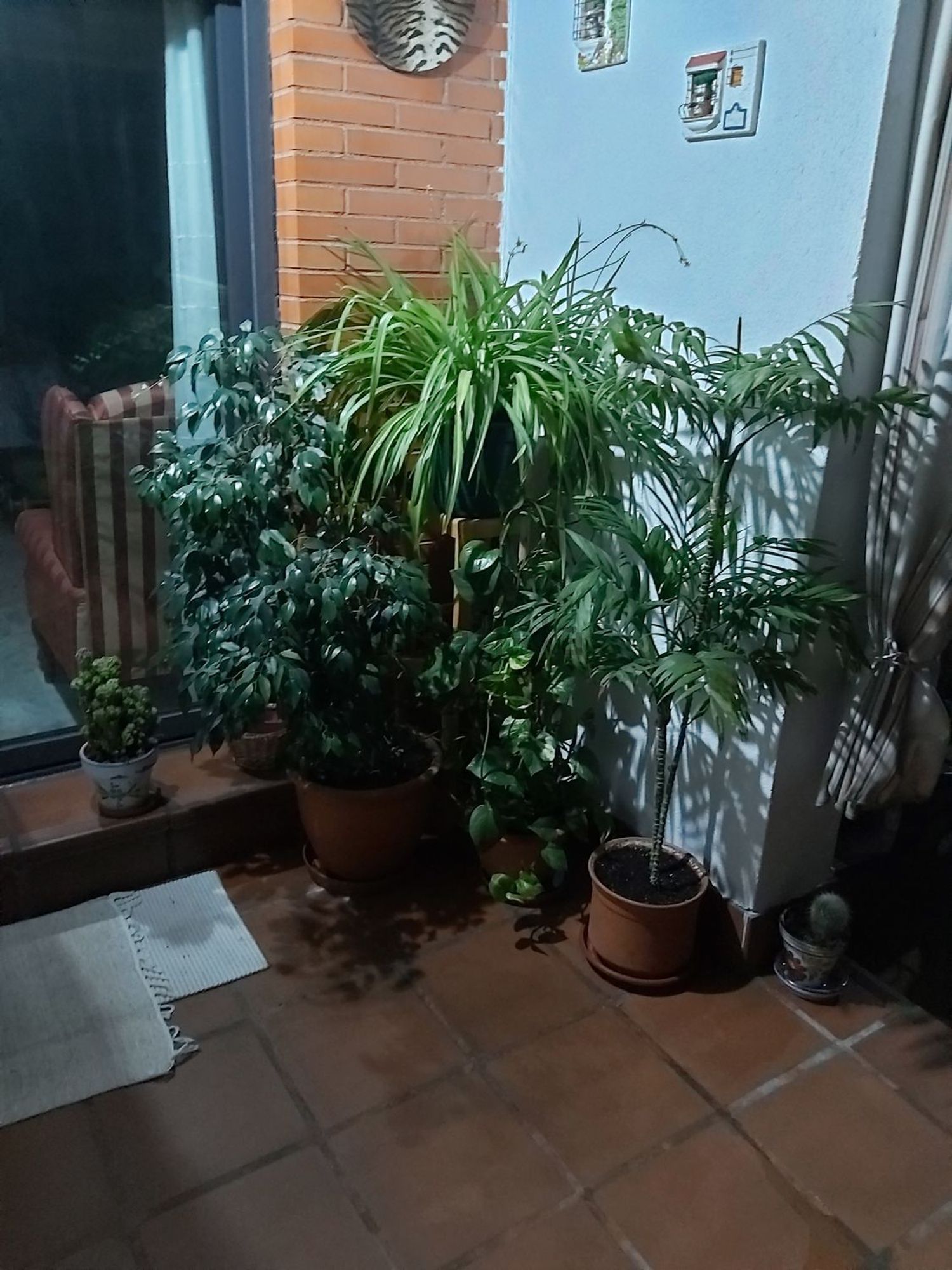 Habitación en alquiler, Madrid