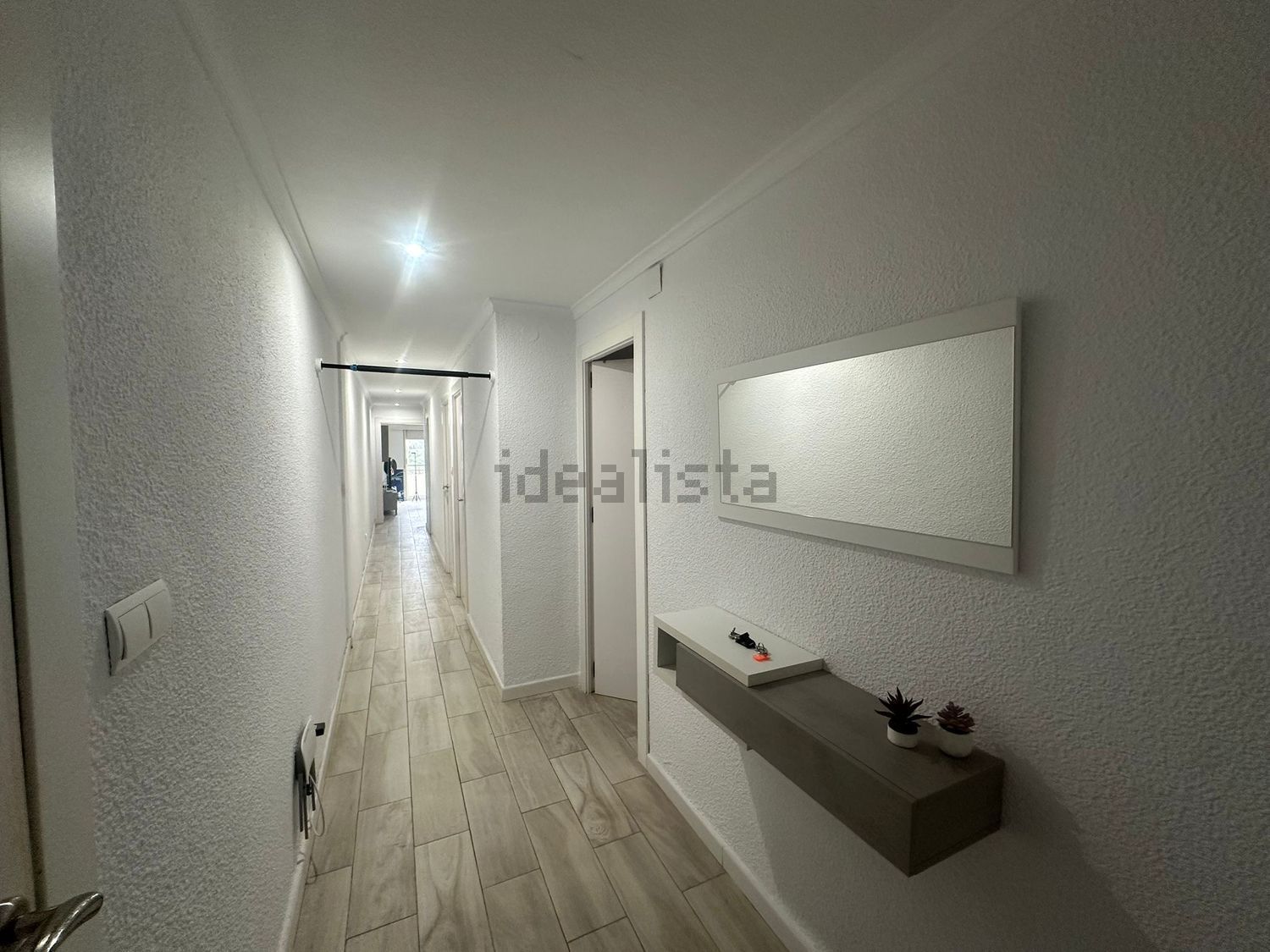 Habitació de lloguer, Elx
