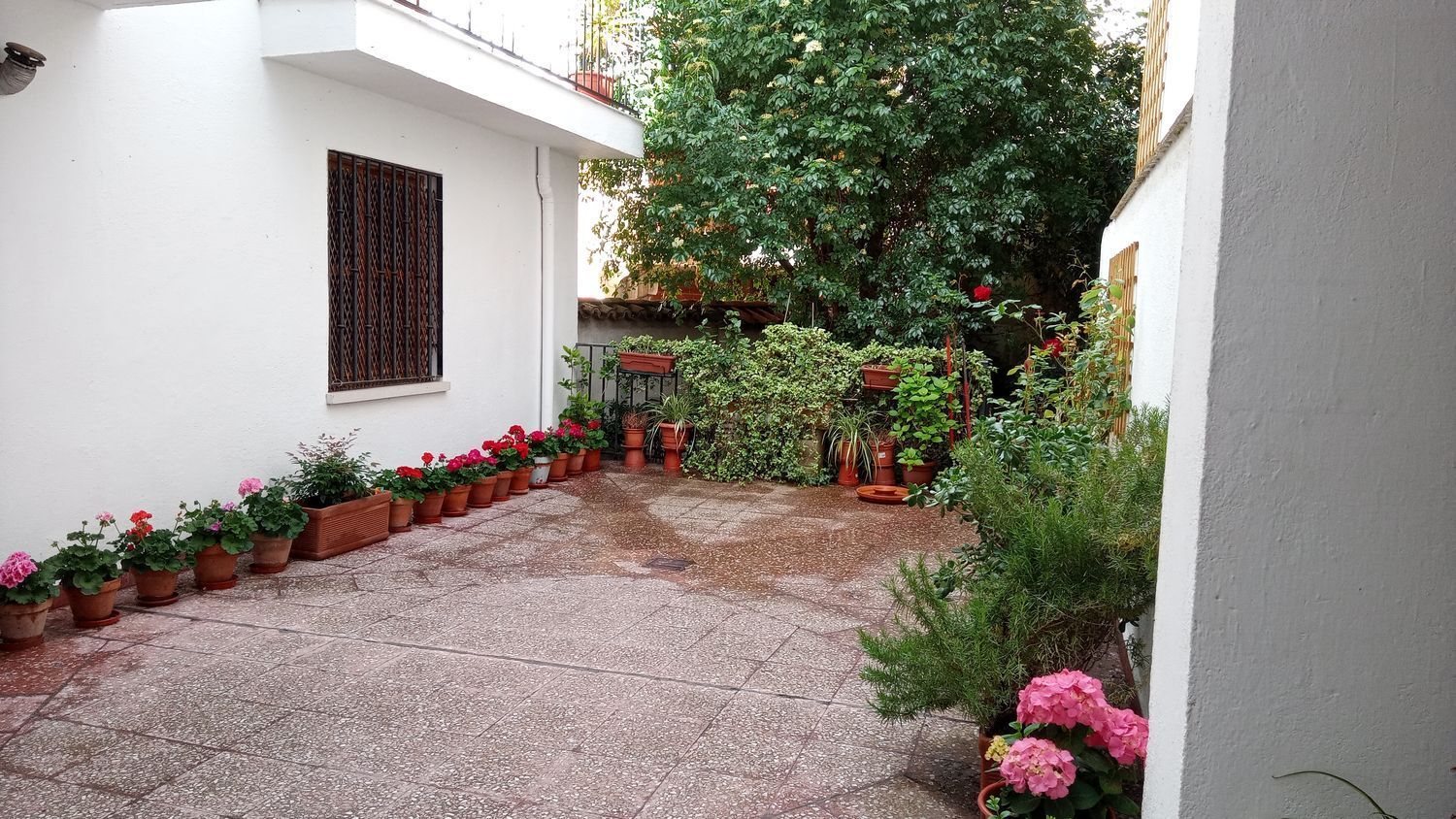 Habitación 120 m², Salamanca
