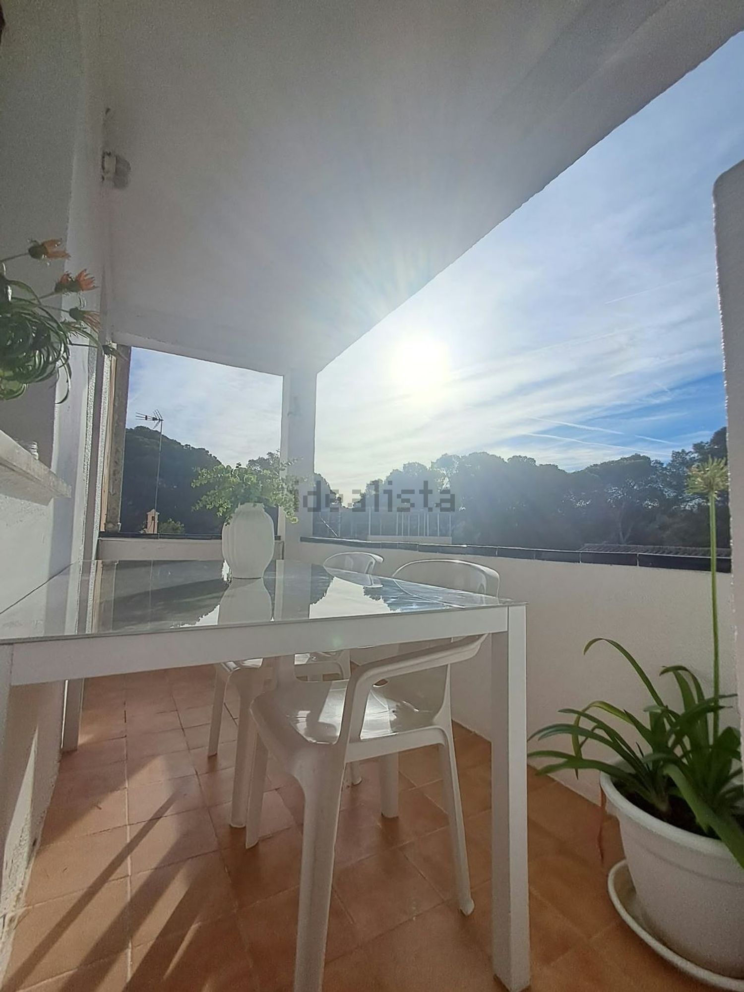 Habitació de lloguer, Palma