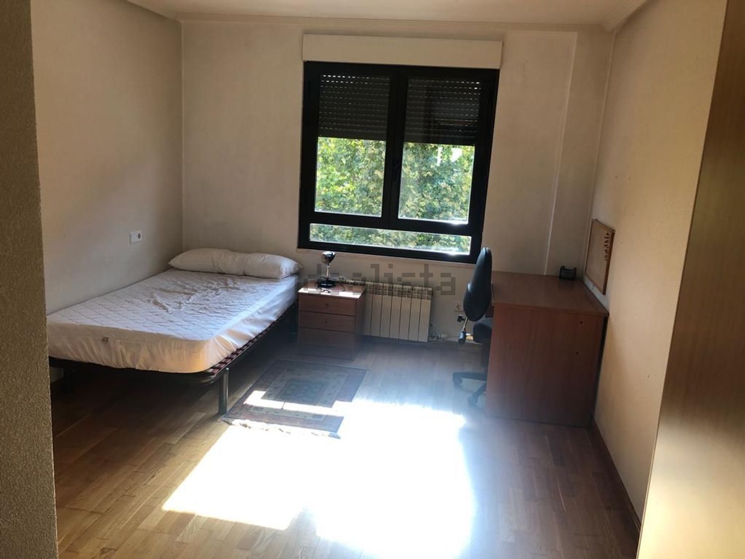 Habitació de lloguer, Lleó