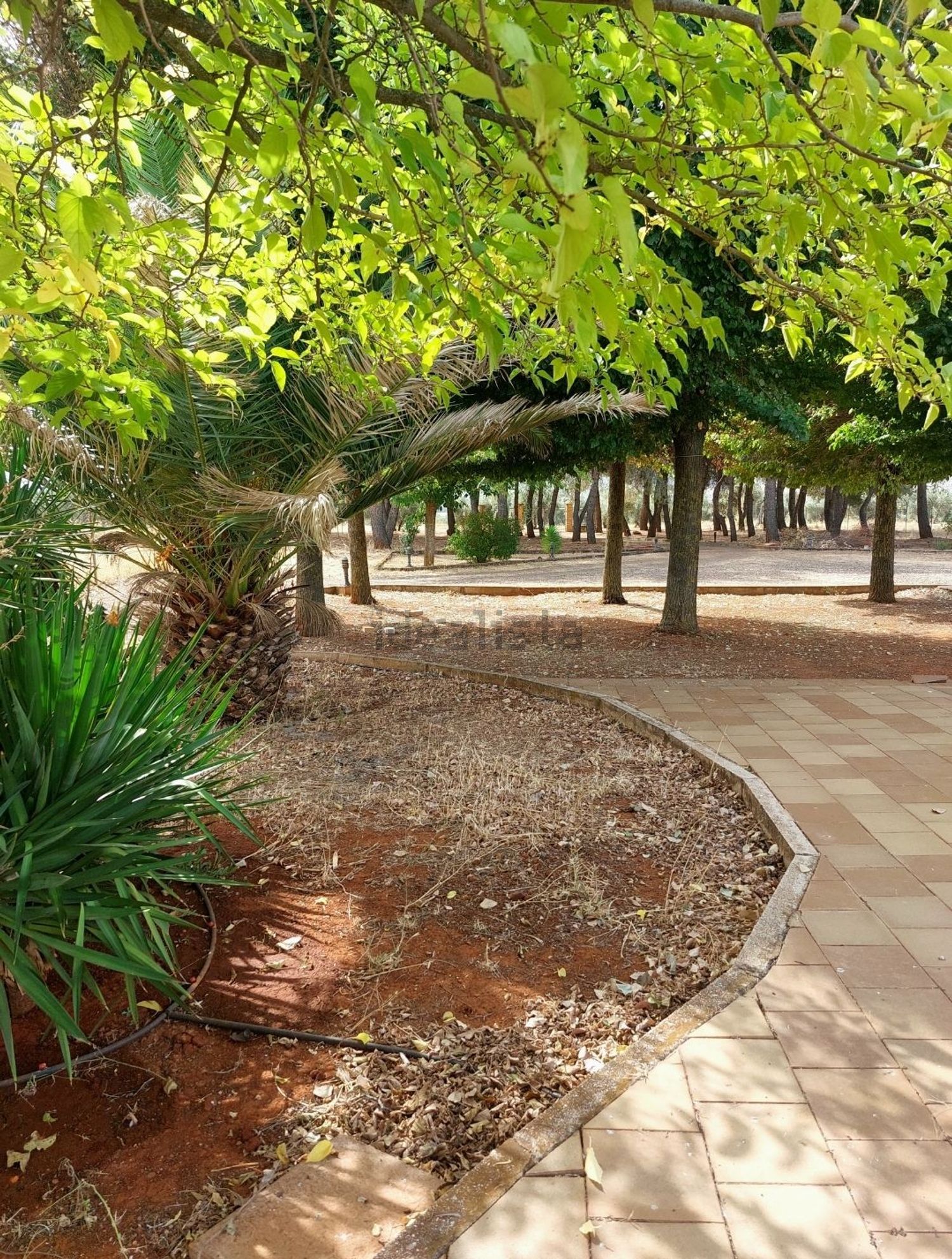 Casa de 85 m² a Argamasilla de Calatrava