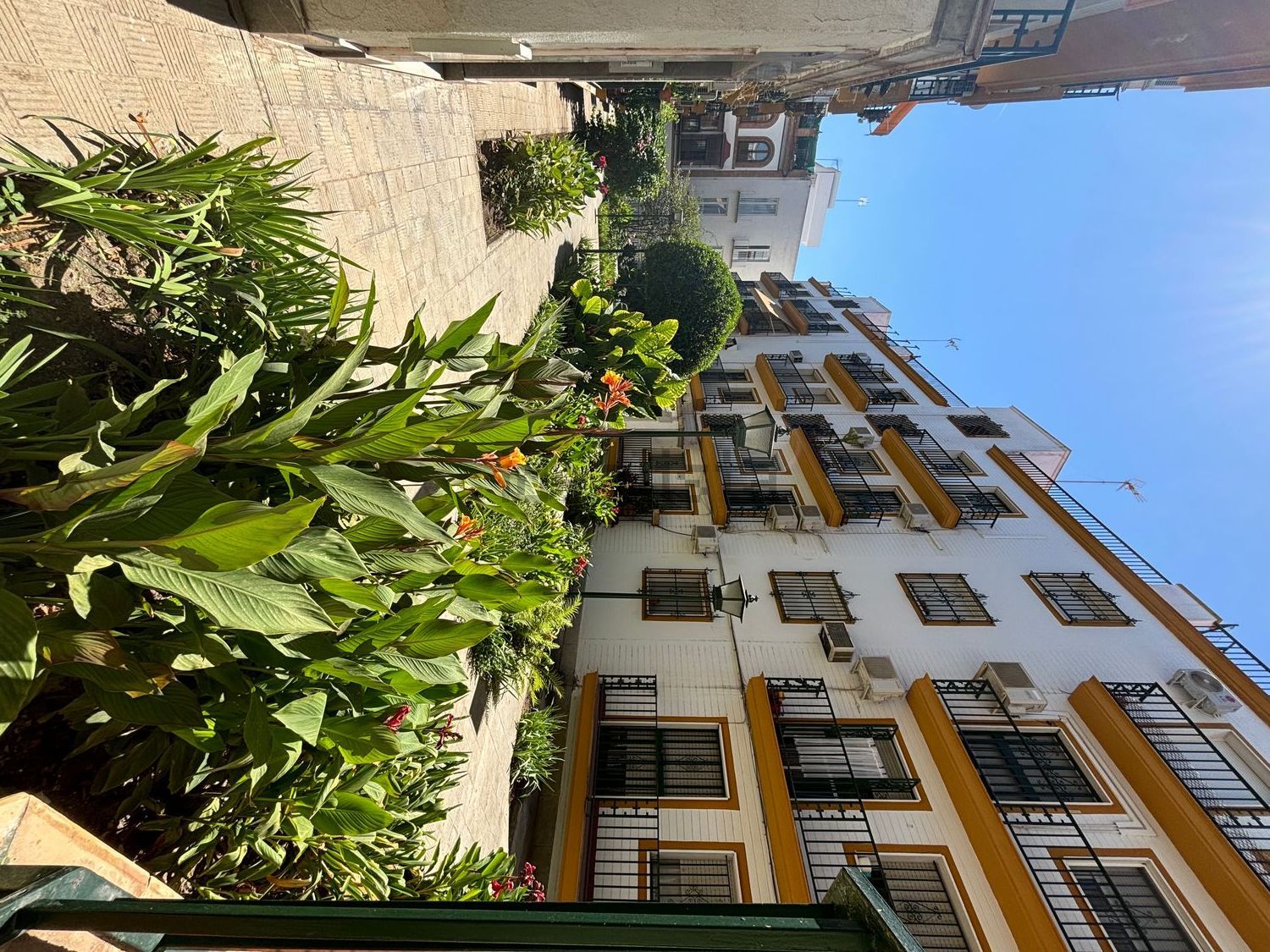 Habitació de lloguer, Sevilla