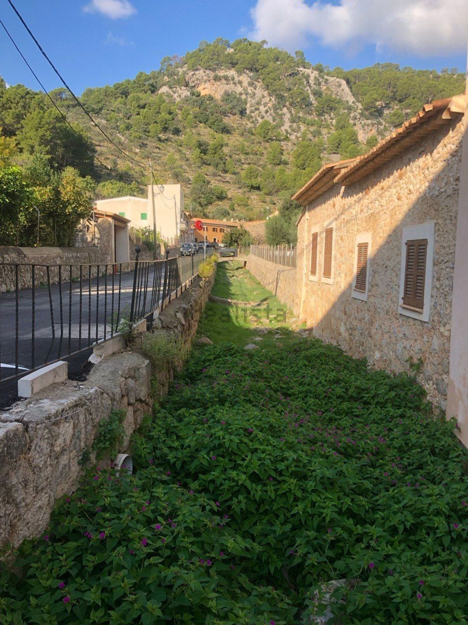 Stanza in affitto, Selva
