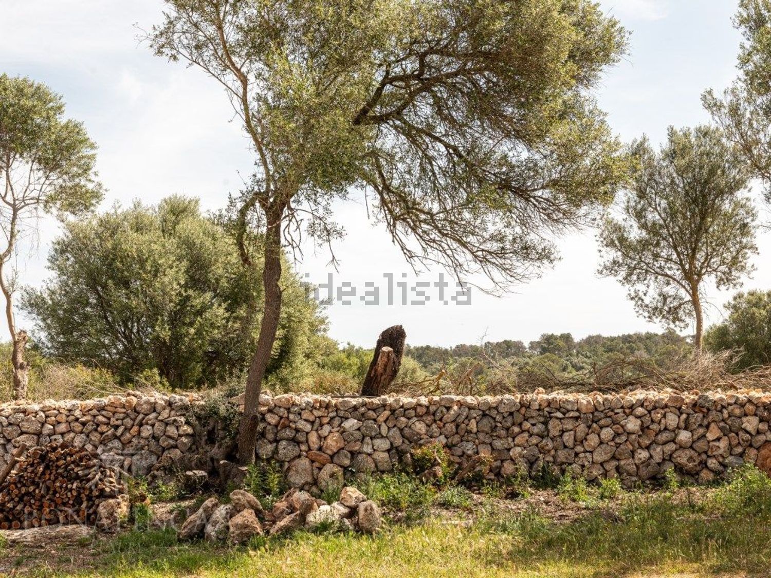 Casa 300 m² a Sencelles