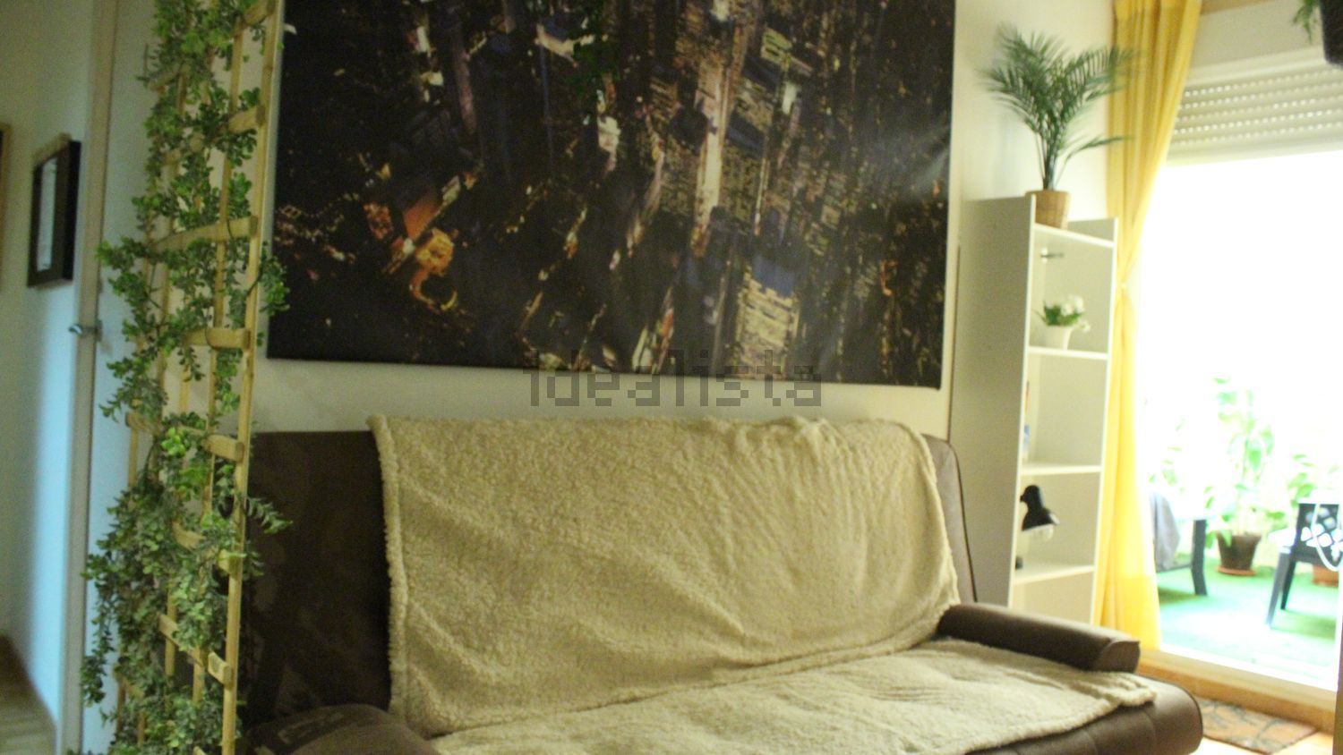 Habitació de lloguer, Alguazas