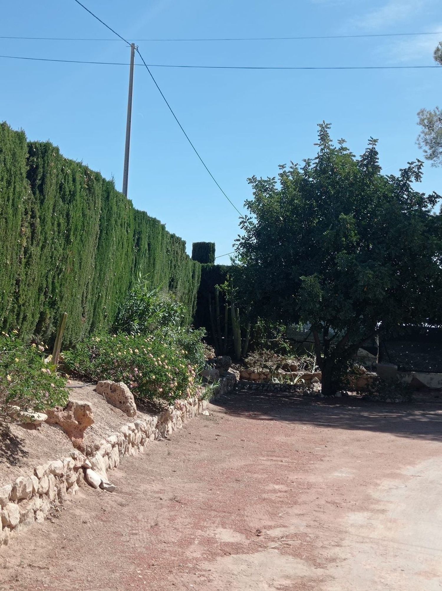Casa de 350 m² en Crevillent