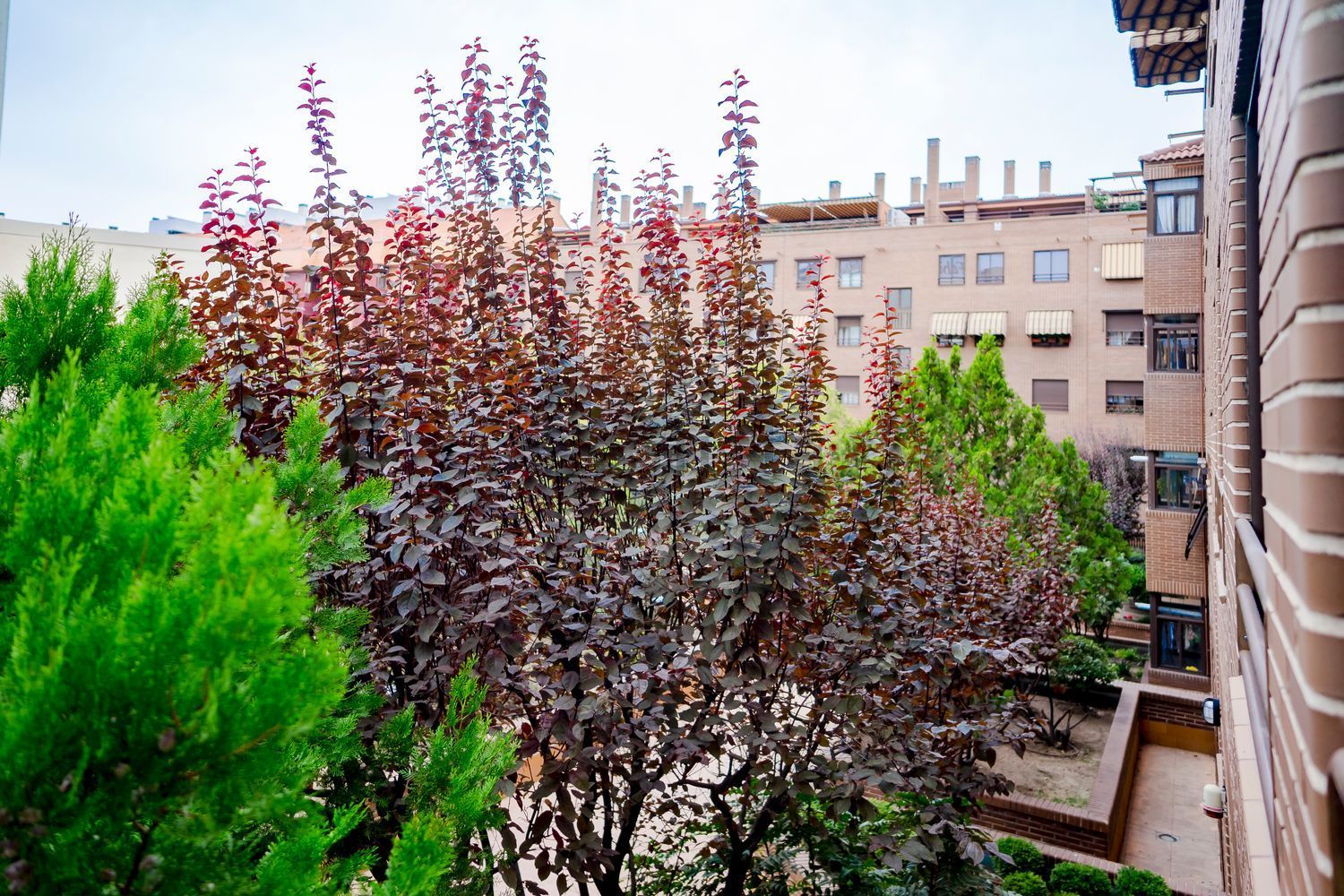 Stanza in affitto, Madrid