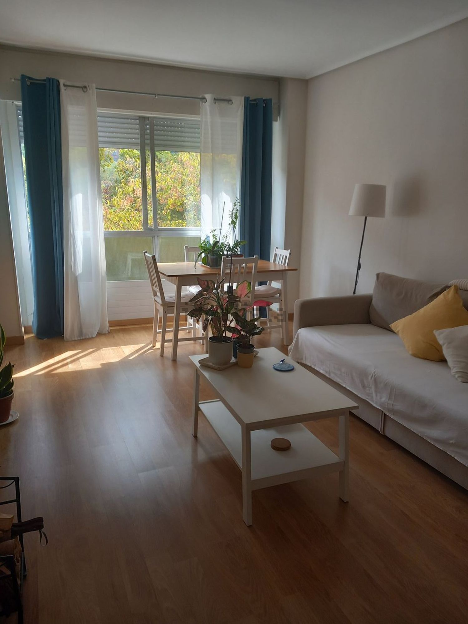 Habitació de lloguer, Getxo