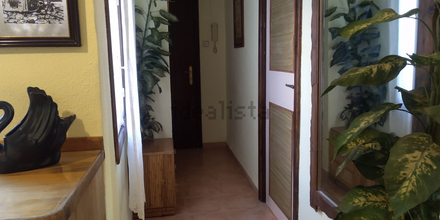 Stanza in affitto, Elx / Elche