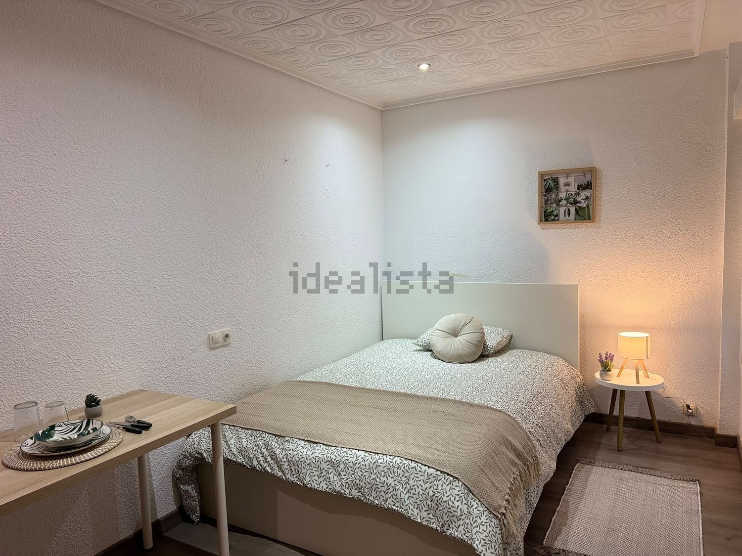 Habitació de lloguer, Elx