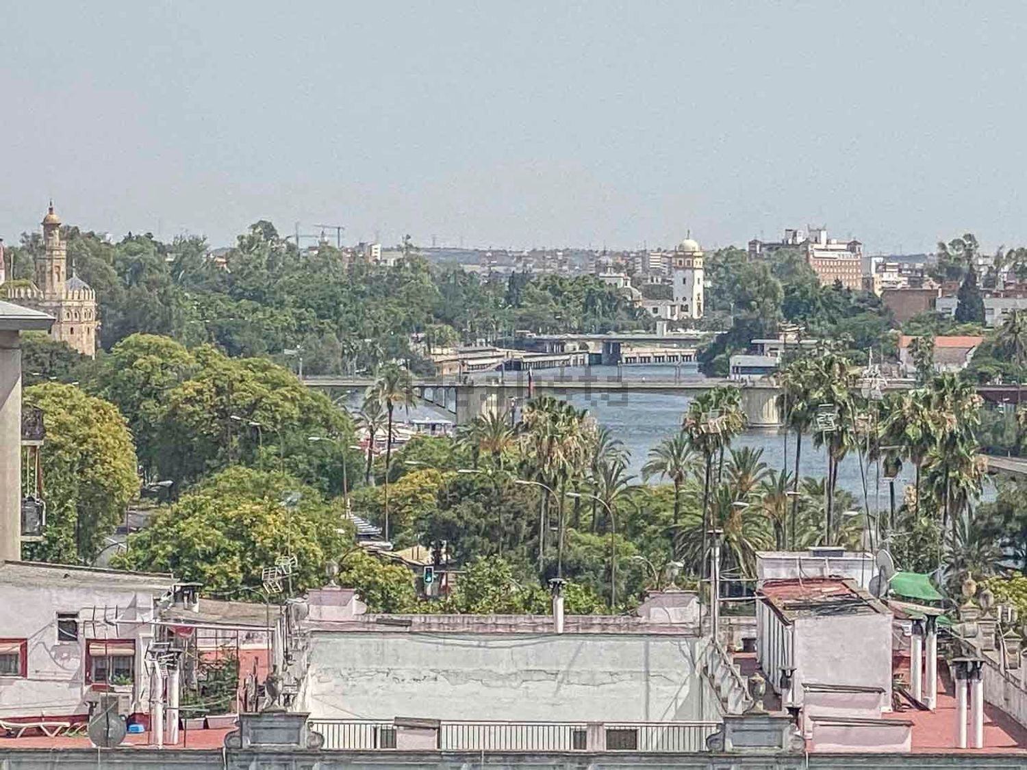 Habitació de lloguer, Sevilla