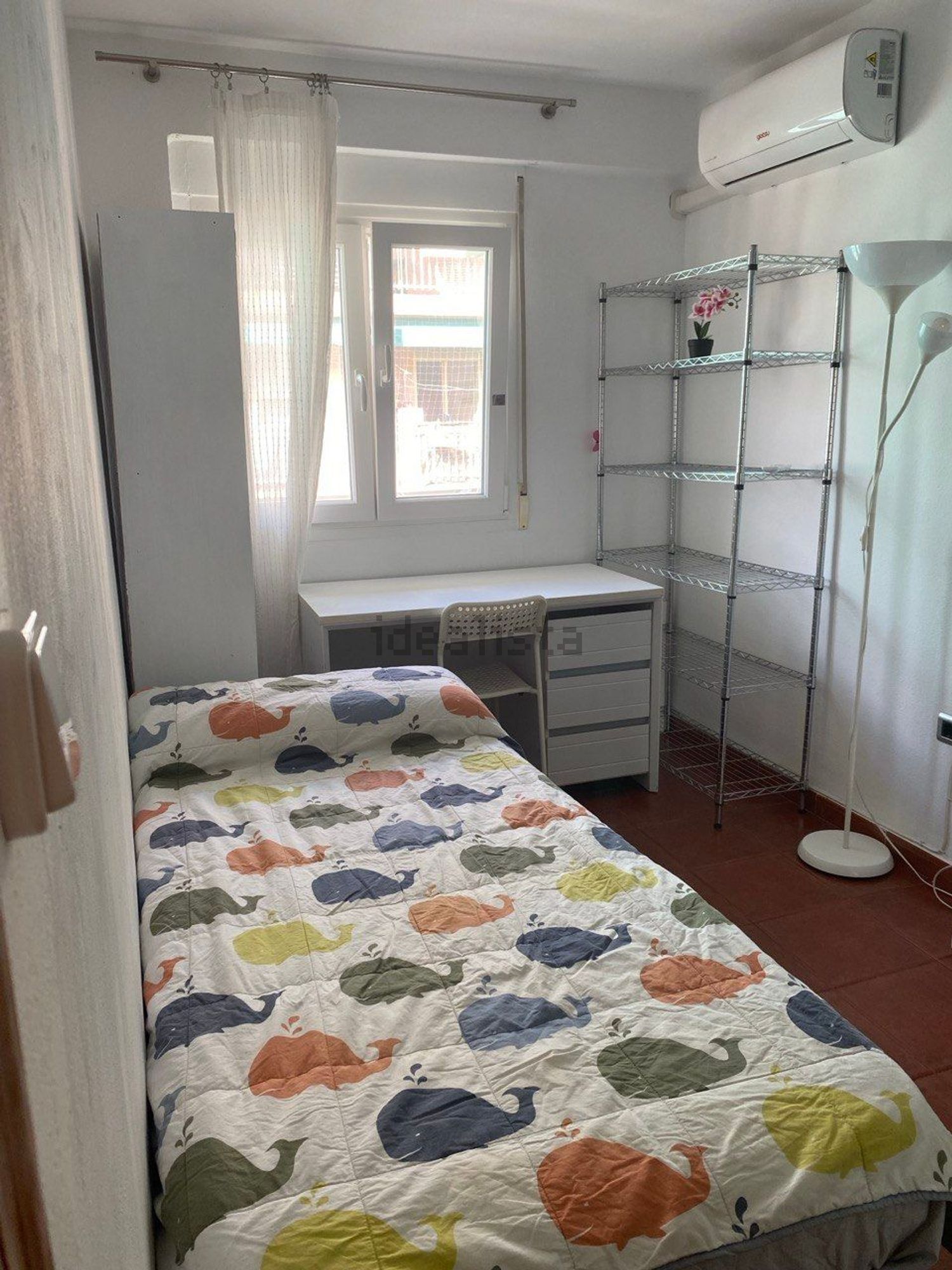 Habitació de lloguer, Elx