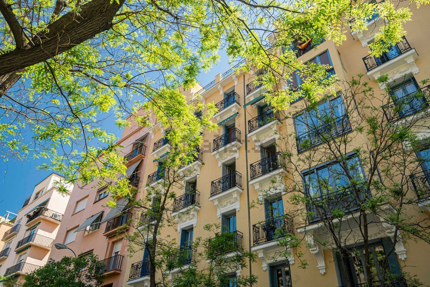 Stanza in affitto, Madrid