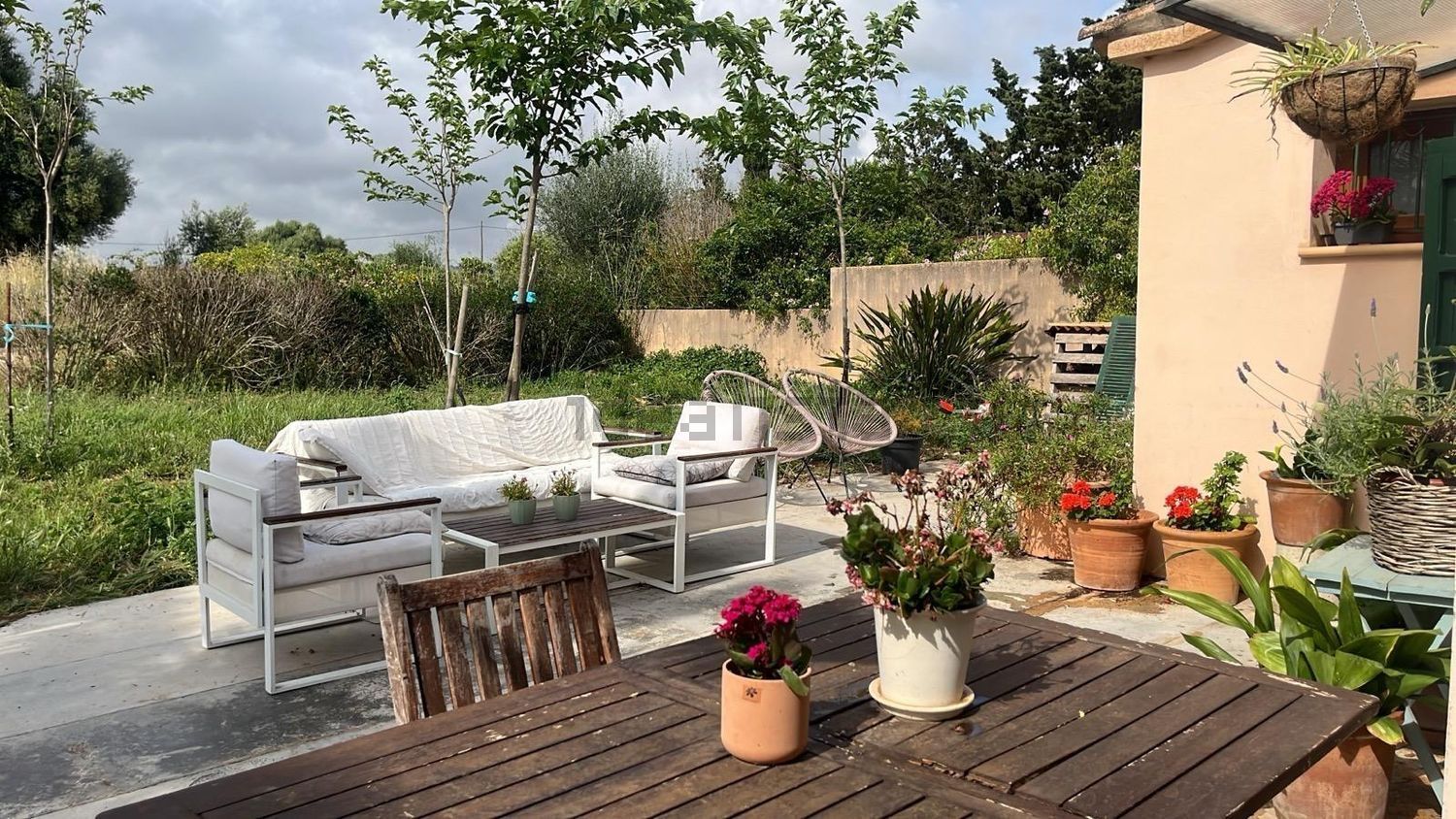 Pis de 778 m² a Palma
