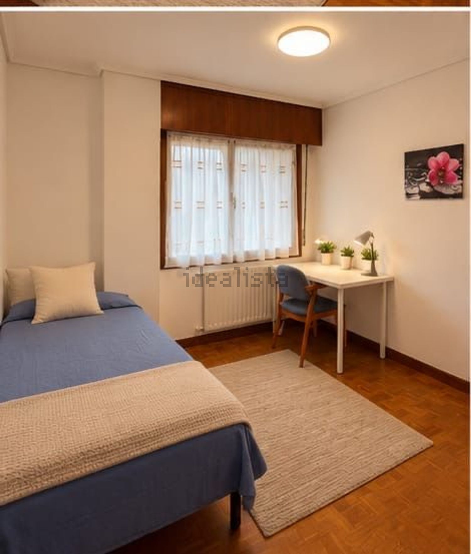 Stanza in affitto, Bilbao
