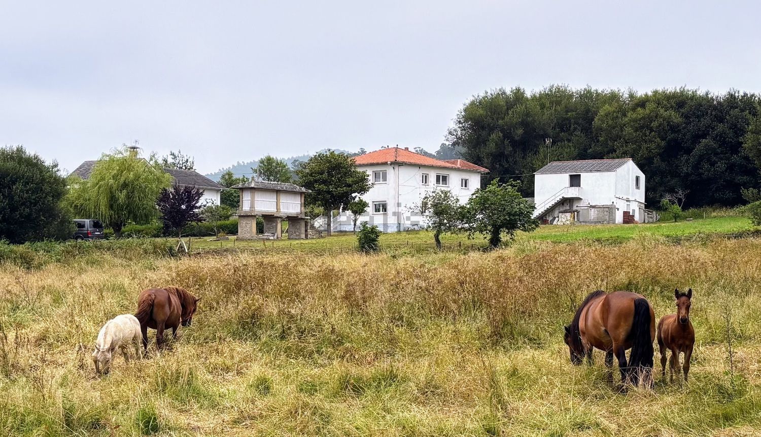 Casa de 110 m² en Viveiro
