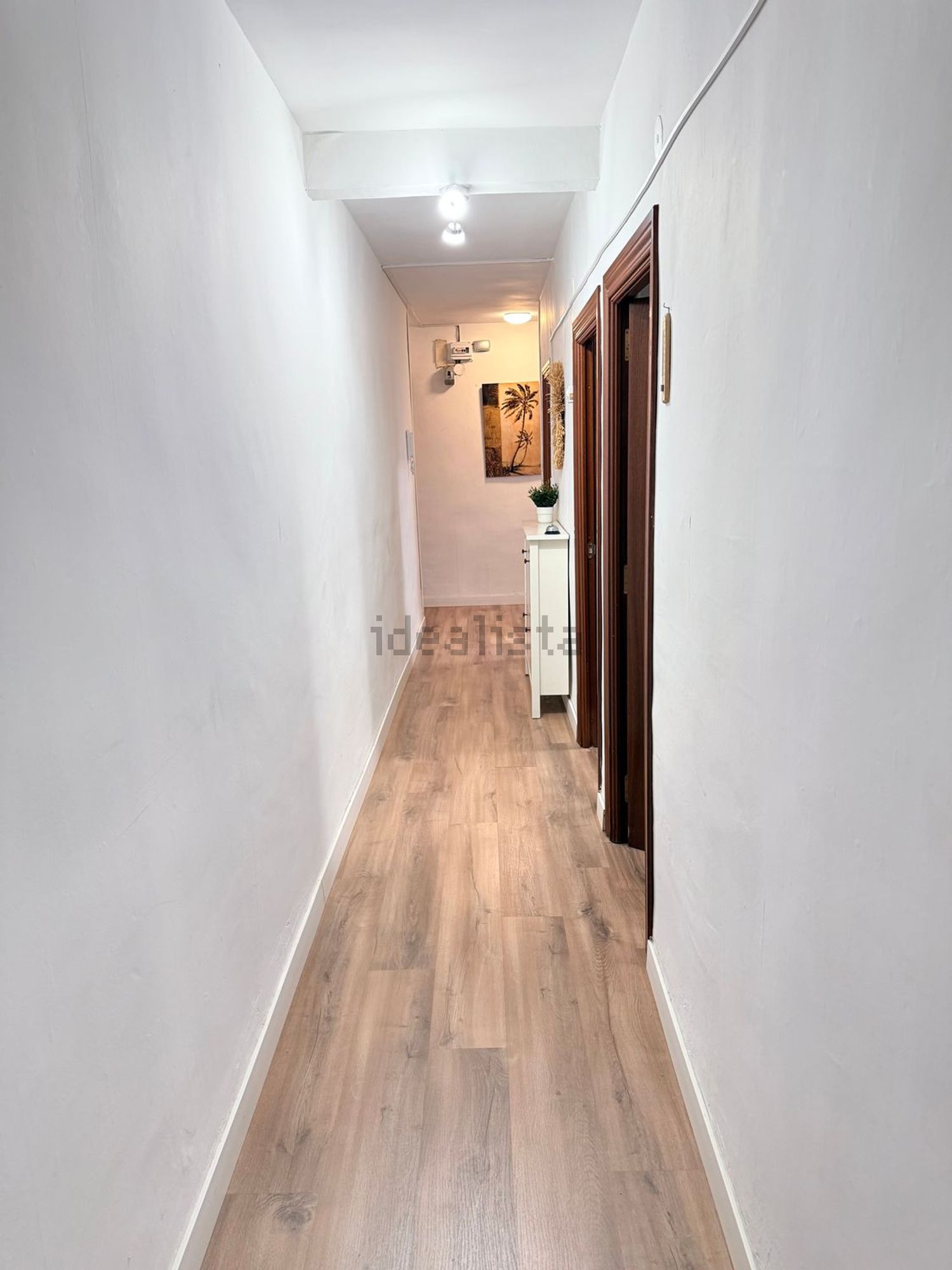 Habitació de lloguer, Valladolid