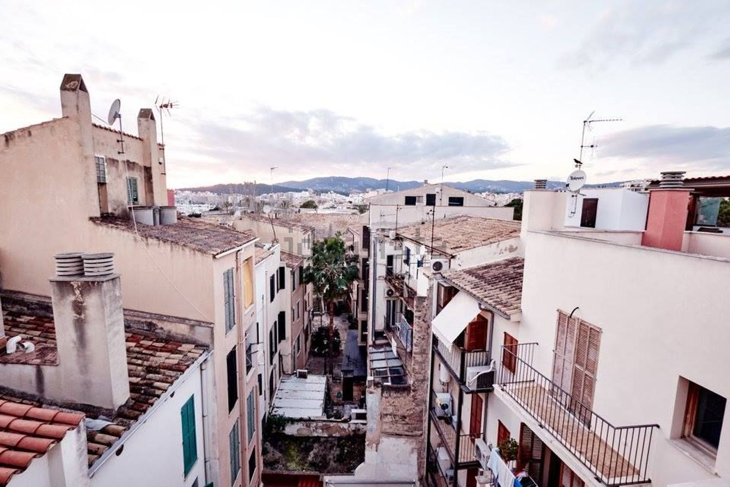 Stanza in affitto, Palma