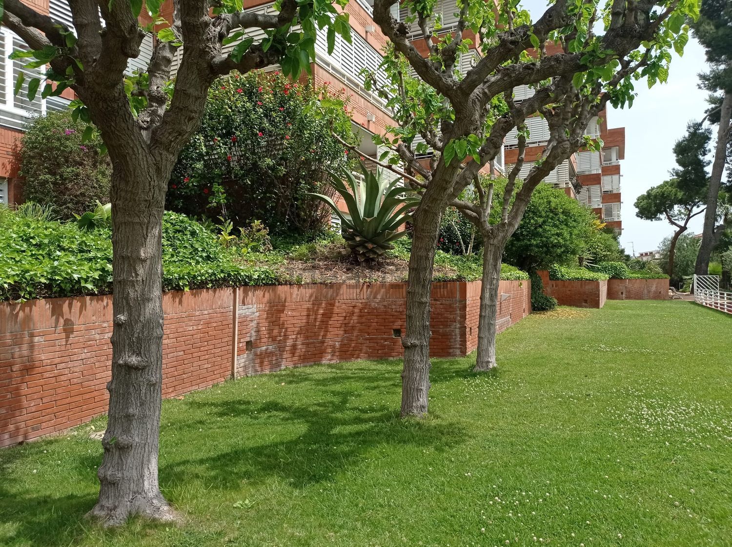 Pis de 159 m² a Esplugues de Llobregat