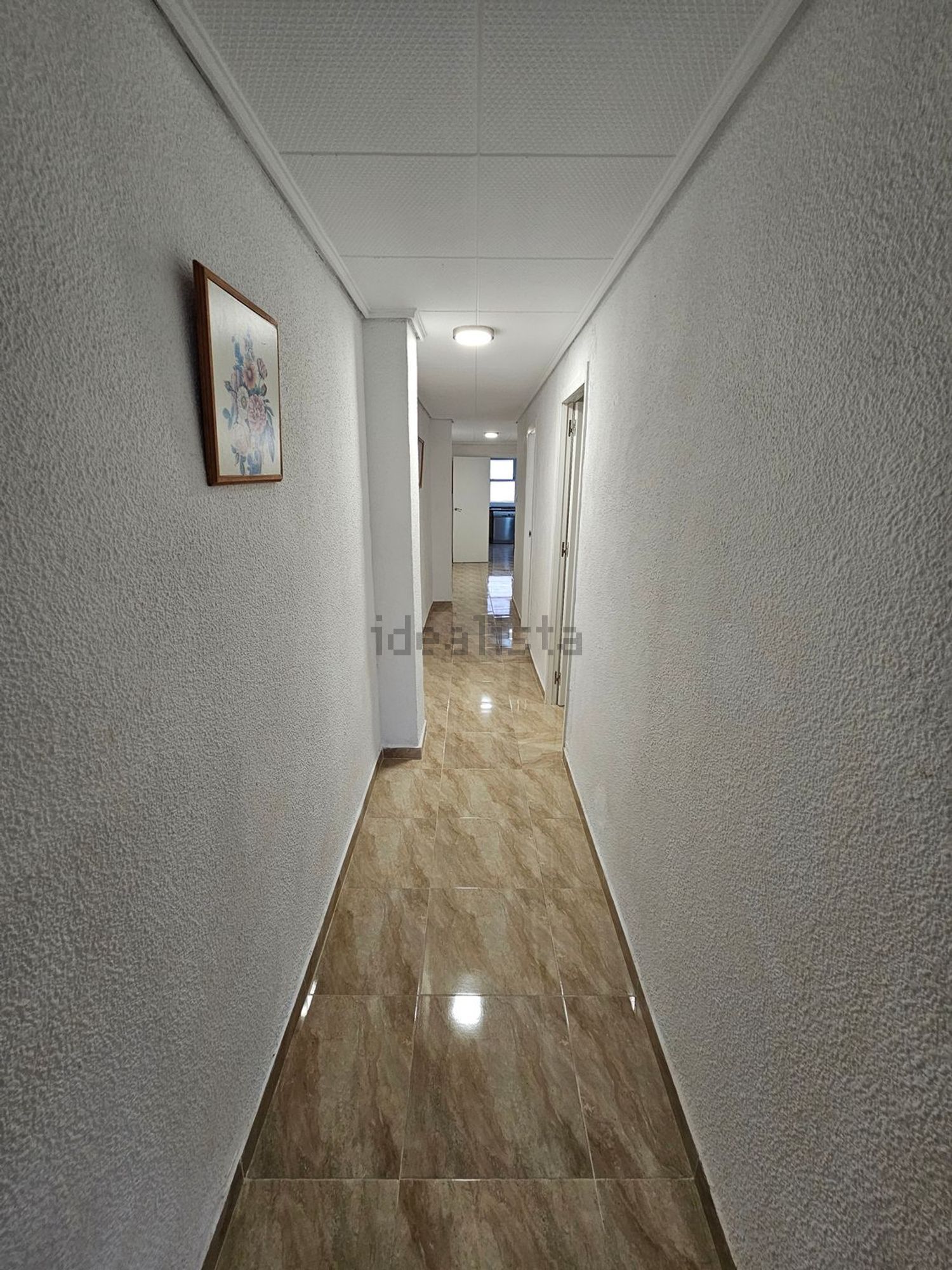 Habitació de lloguer, Elx