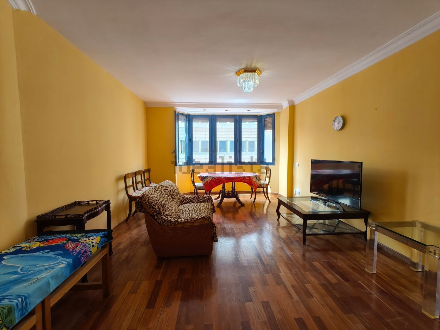 Stanza in affitto, Las Palmas de Gran Canaria
