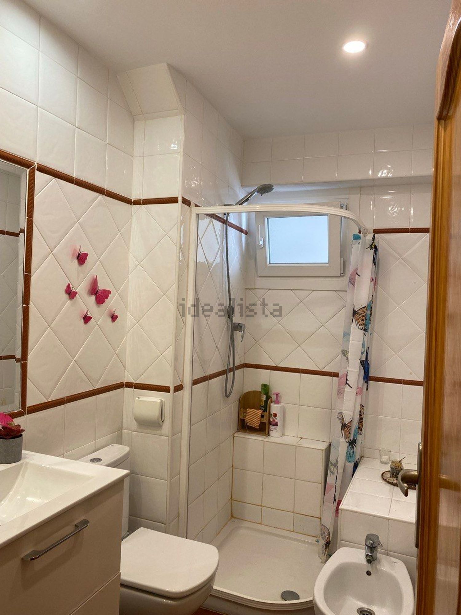 Habitació de lloguer, Elx
