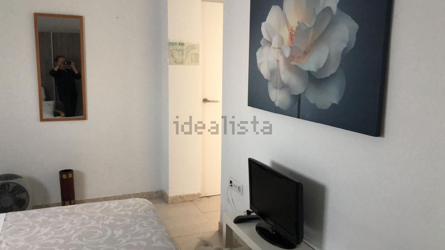 Habitació de lloguer, Santa Cruz de Tenerife