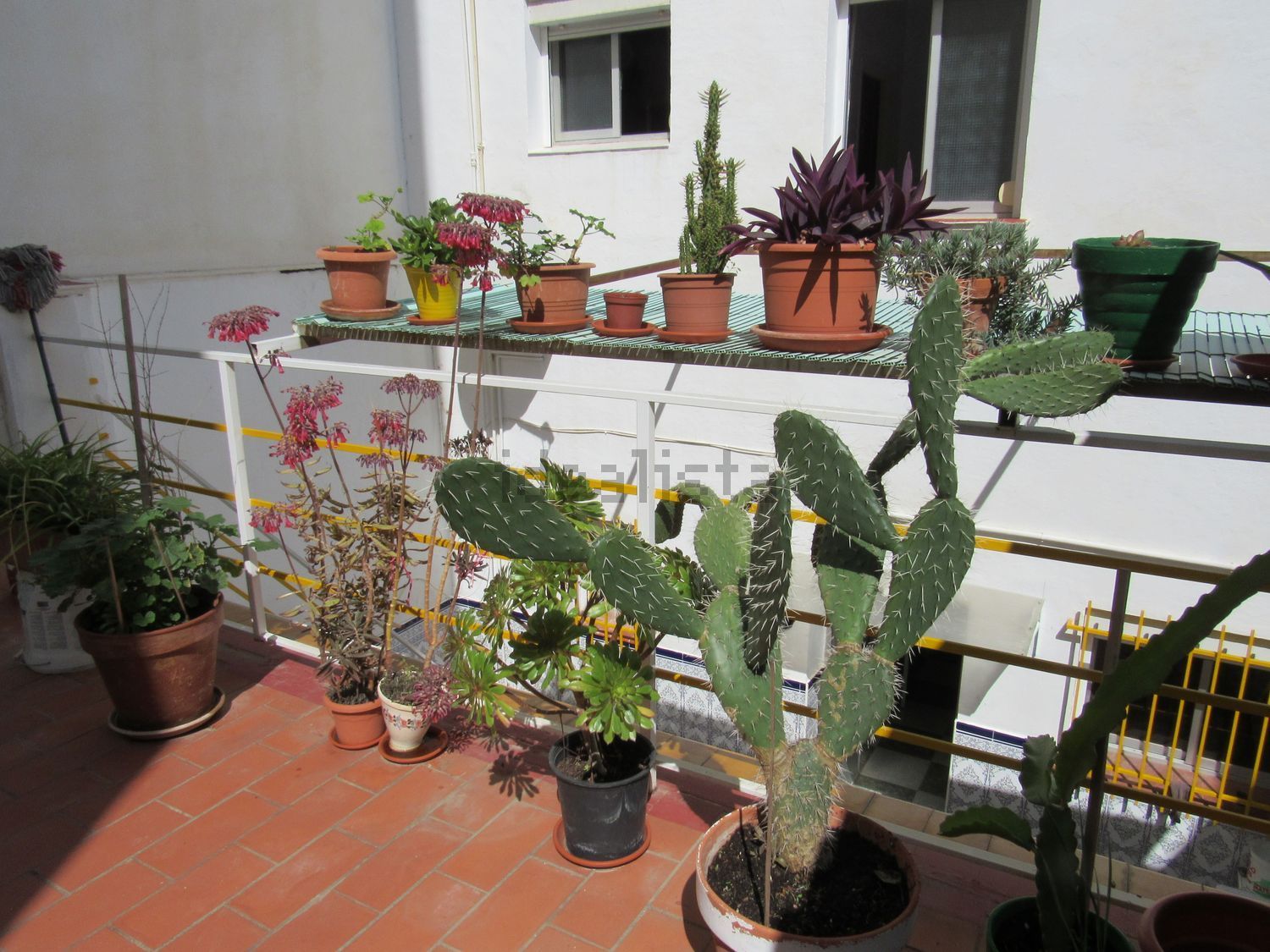 Piso de 35 m² en Málaga