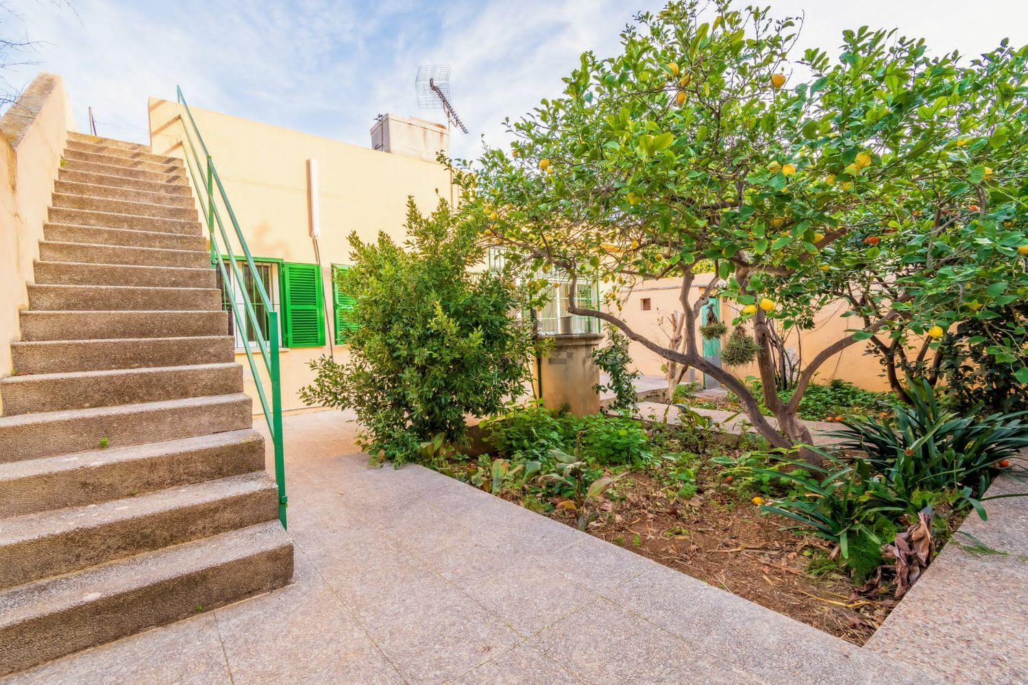 Habitació de lloguer, Palma