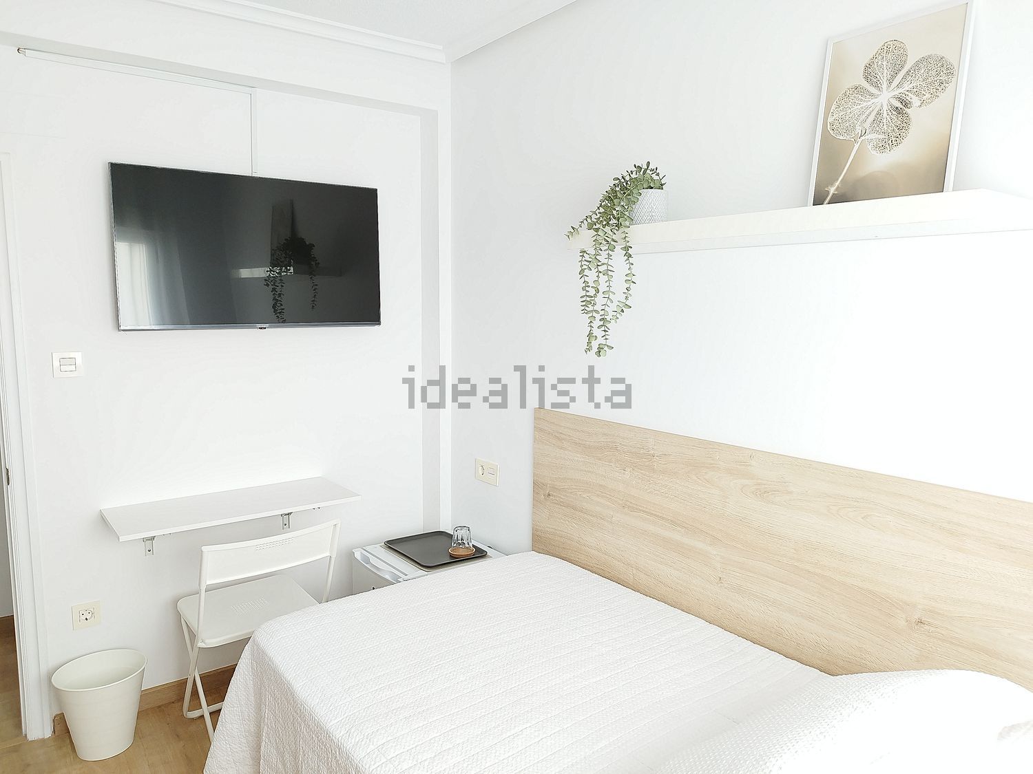 Habitació de lloguer, Avilés