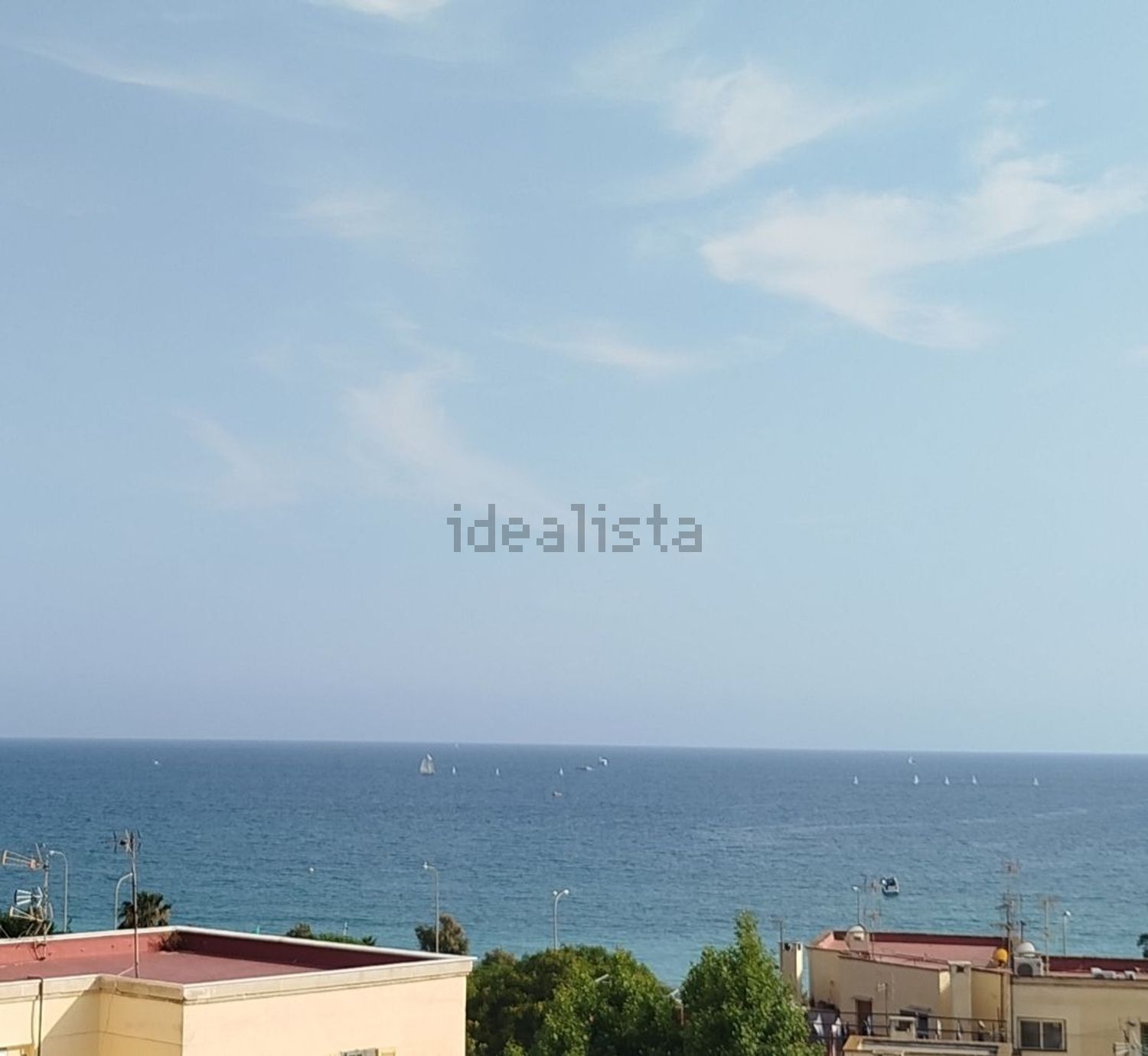 Stanza in affitto, Palma