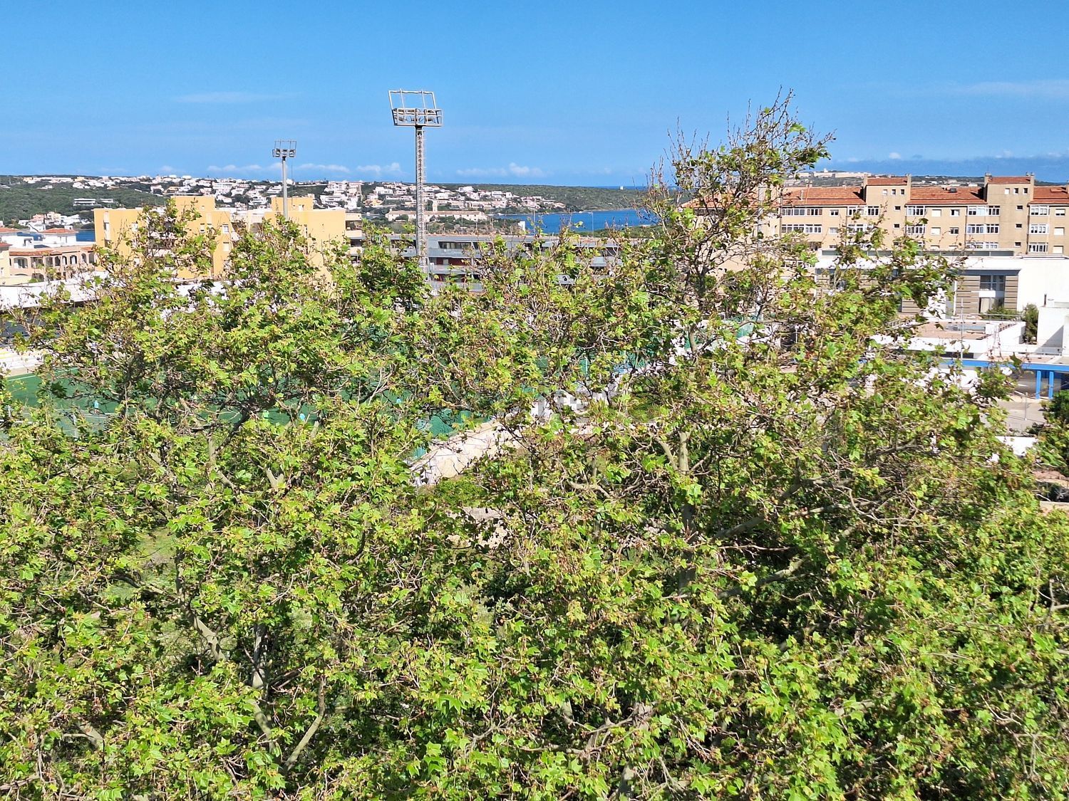 Habitació de lloguer, Maó