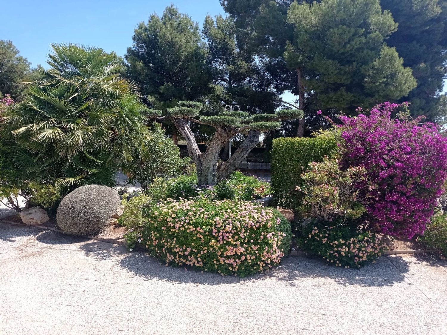 Casa de 350 m² en Crevillent