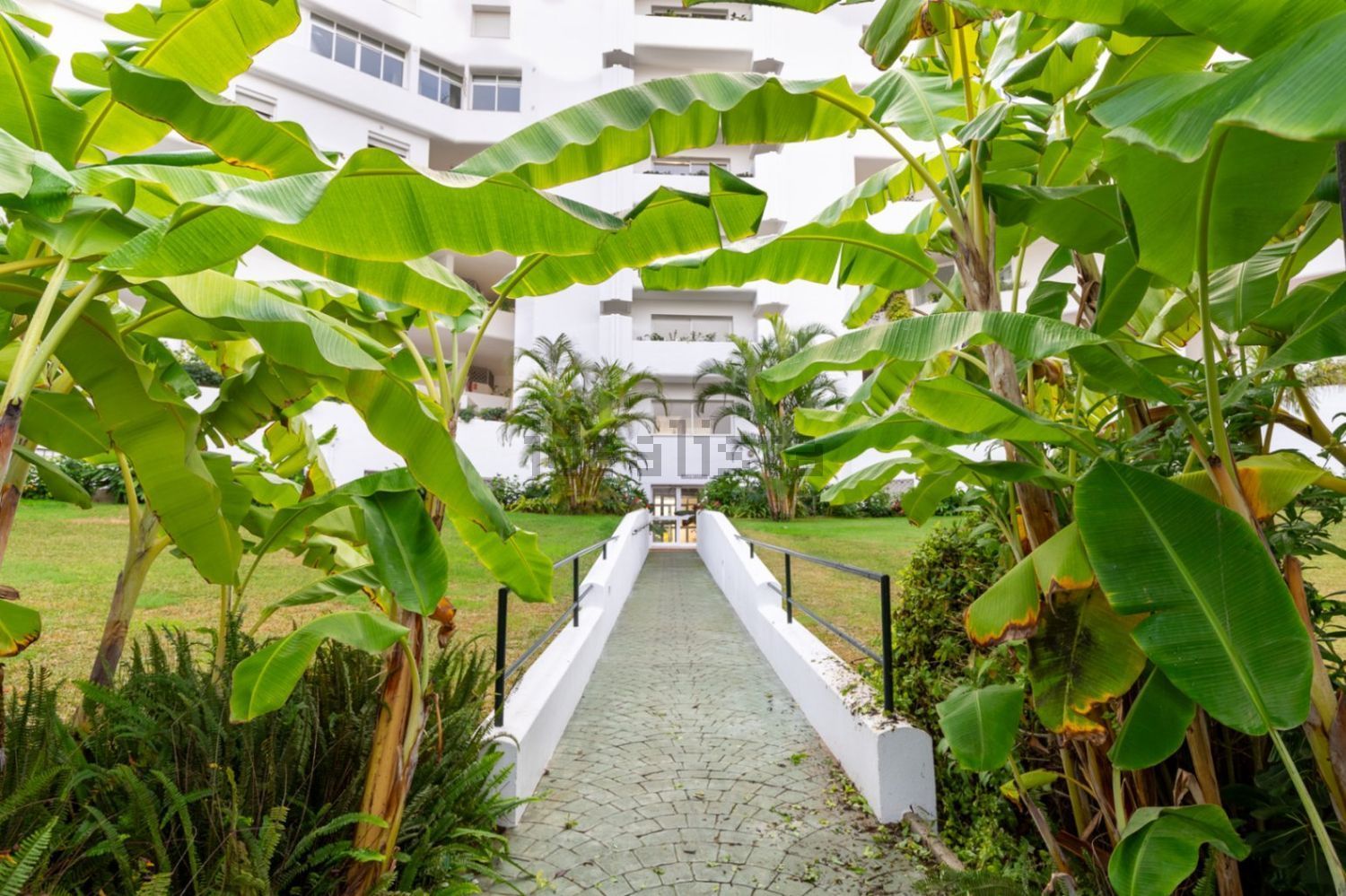 Pis de 470 m² a Marbella