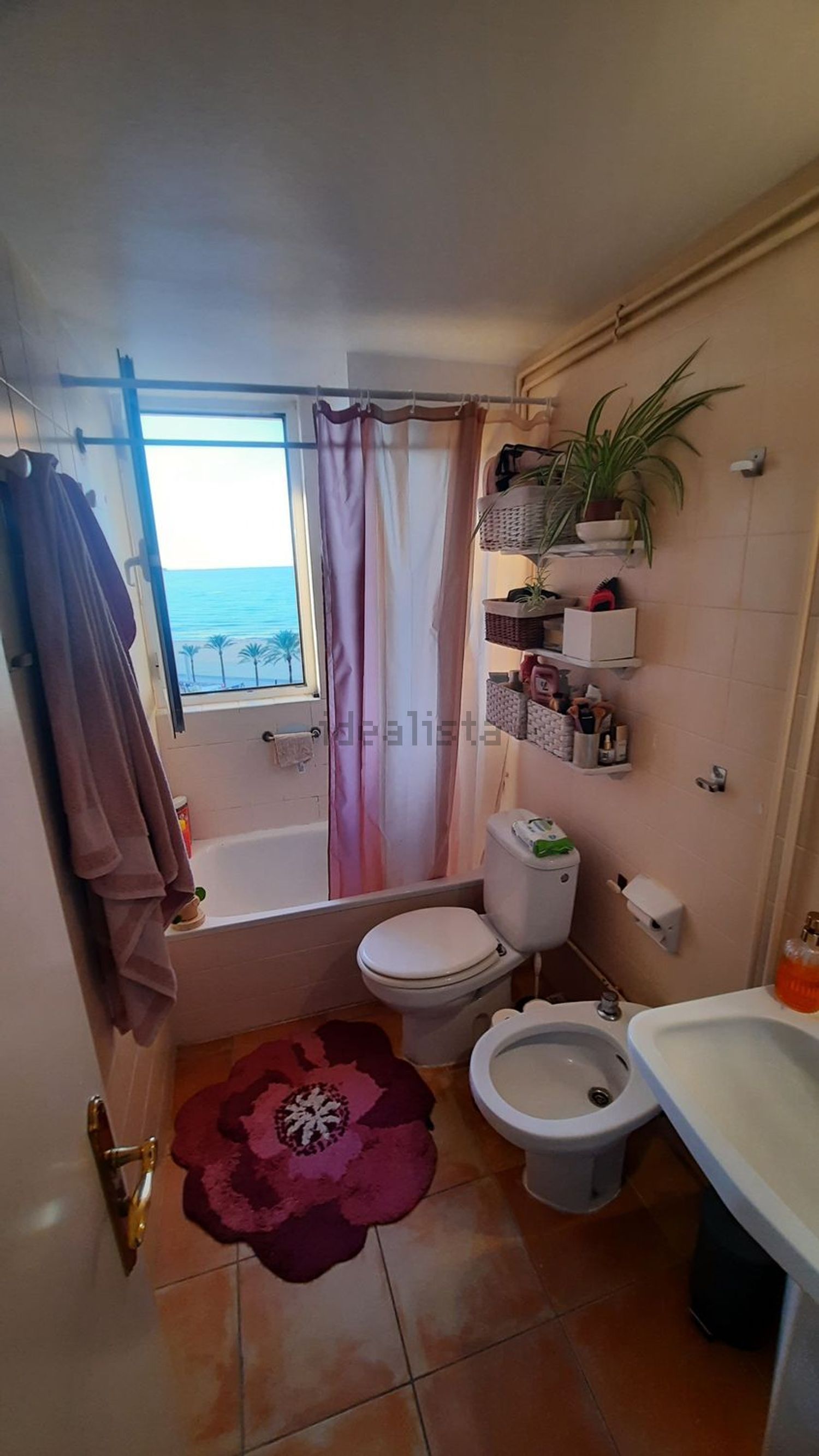 Zimmer zur Miete, Palma