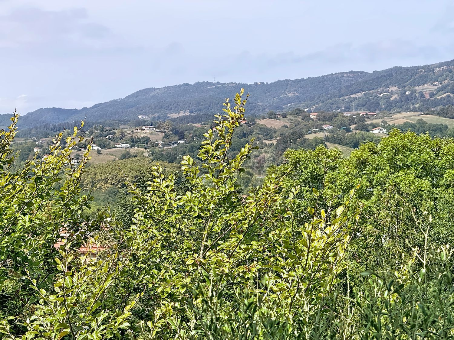 Habitación en alquiler, Lasarte-Oria