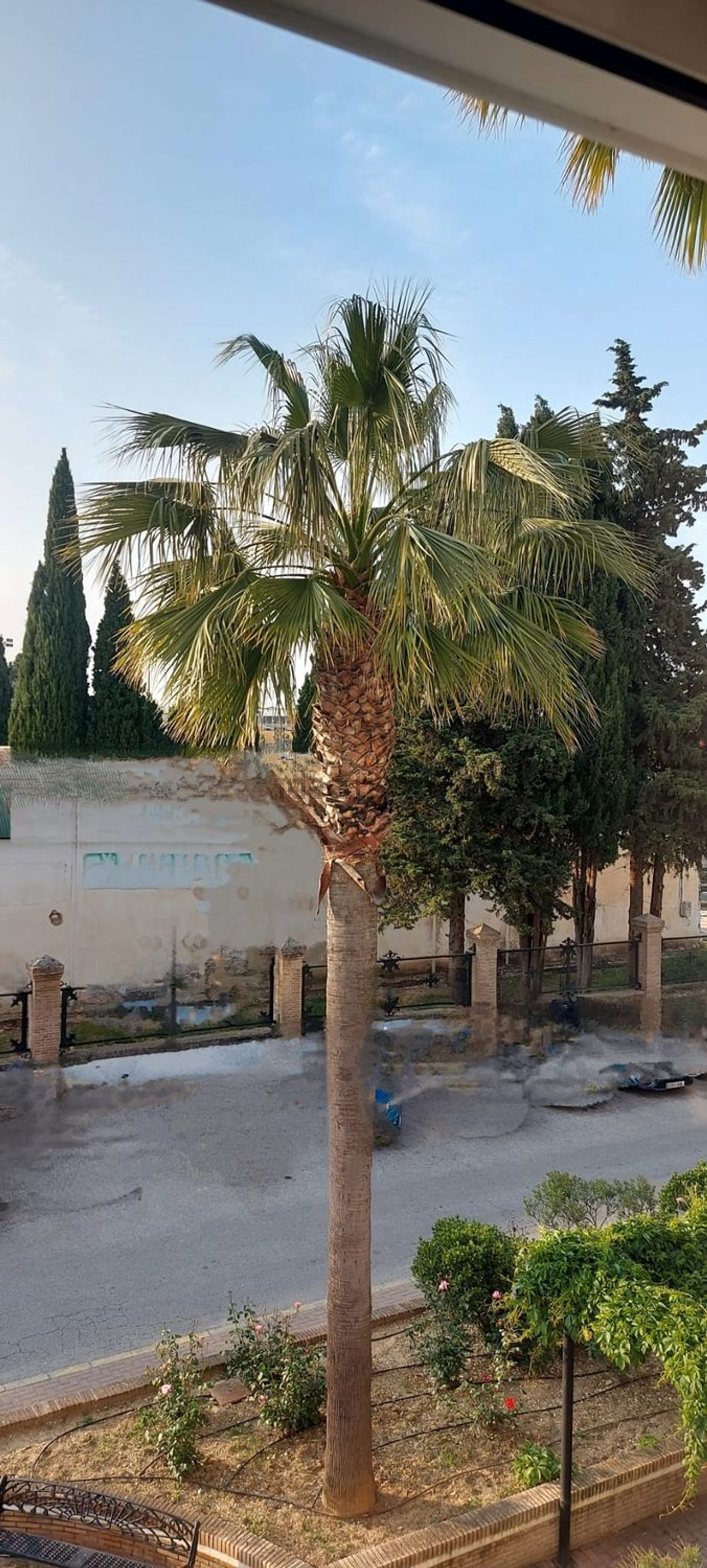 Habitació de lloguer, Ronda