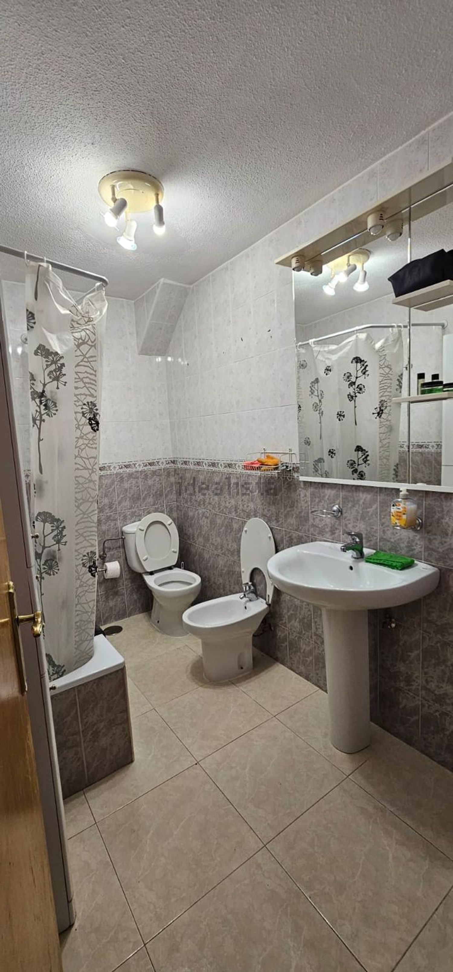 Habitació de lloguer, Alacant