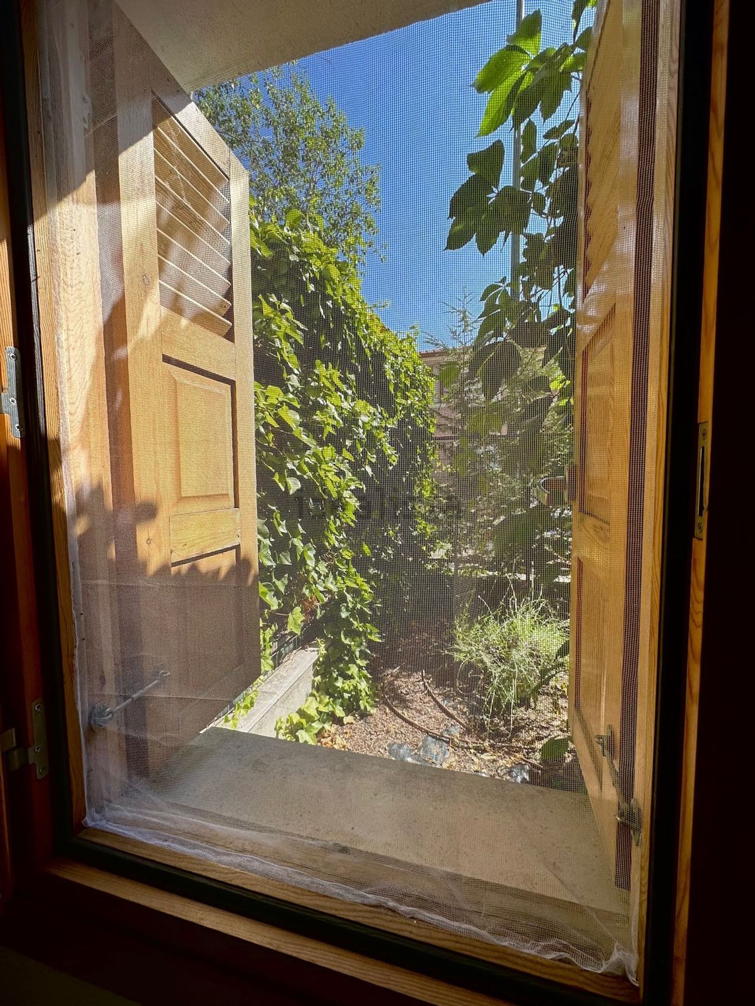 Habitació de lloguer, Valladolid