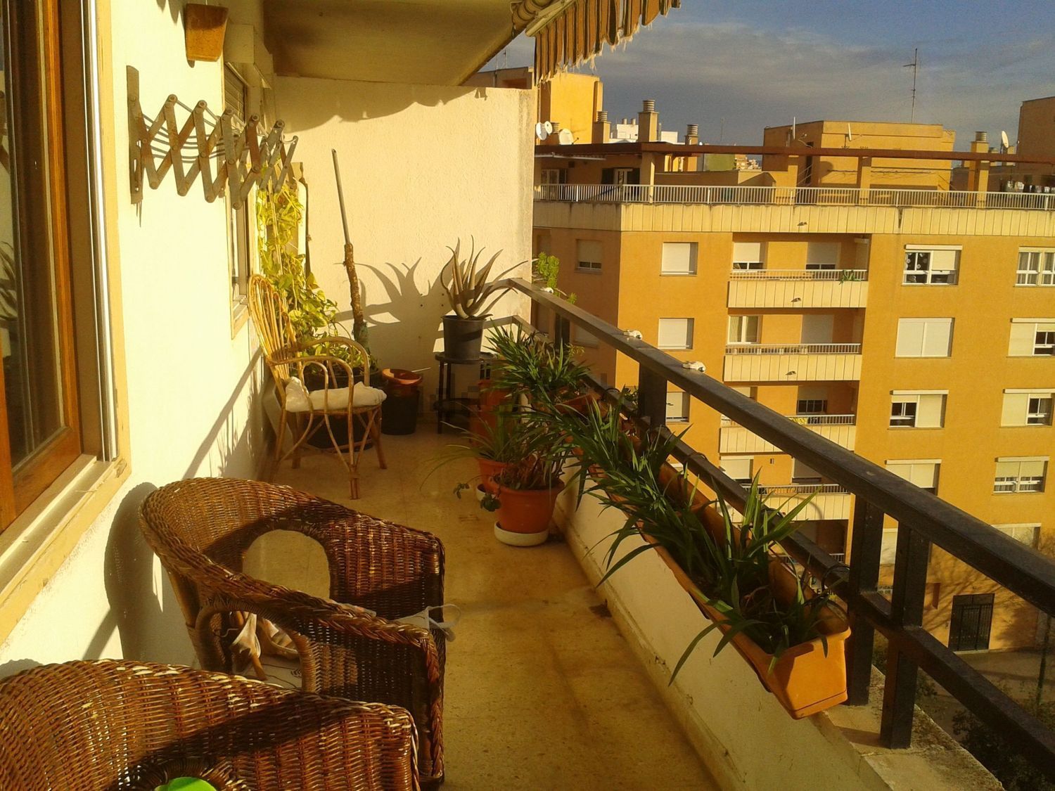 Chambre à louer, Palma