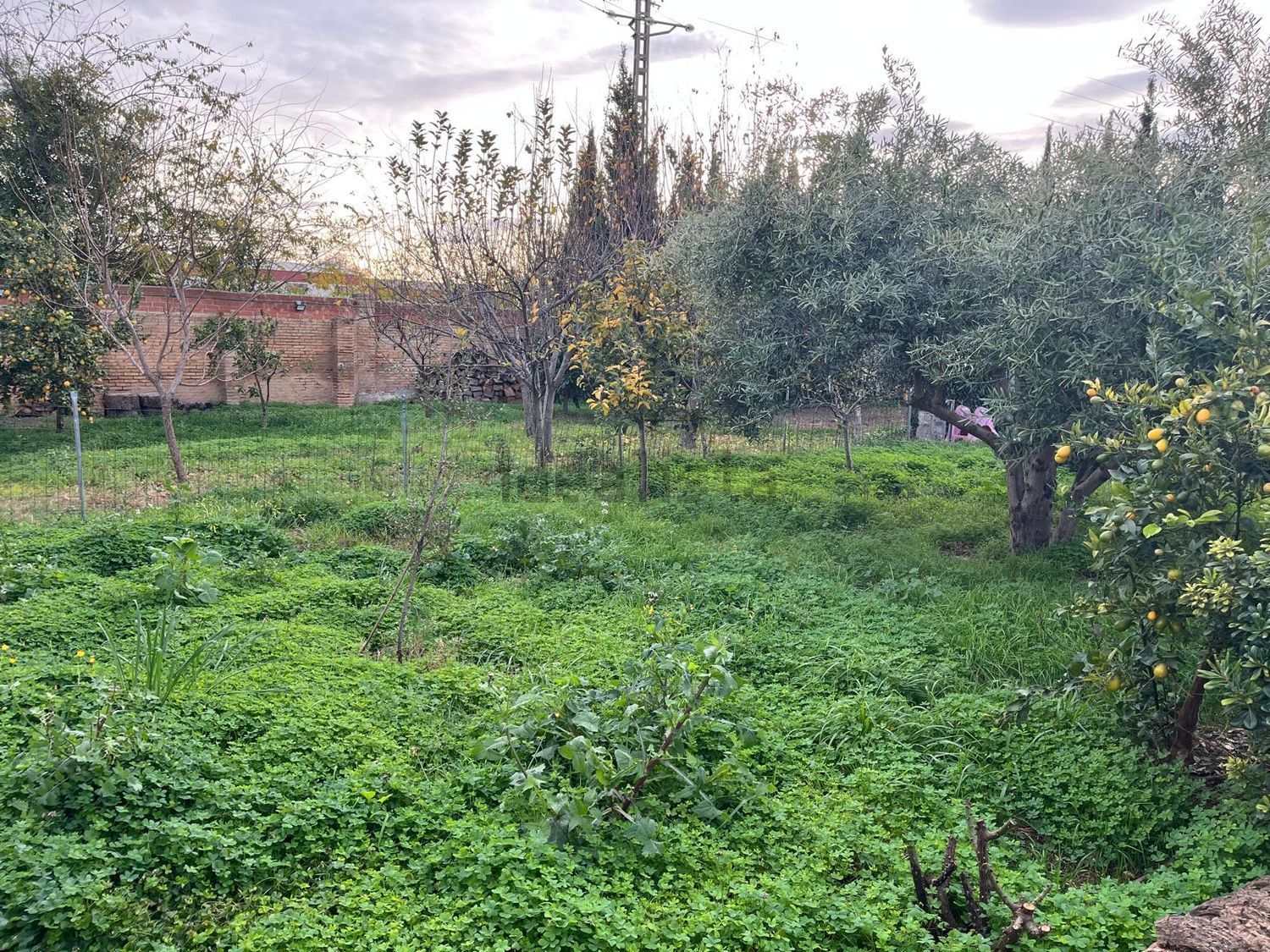 Casa de 300 m² a Alaquàs