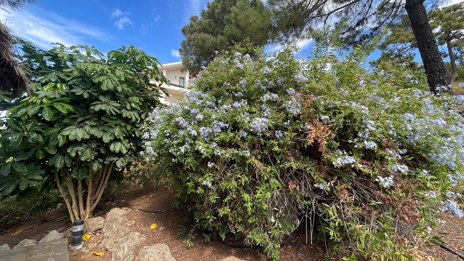 Pis de 155 m² a Estepona