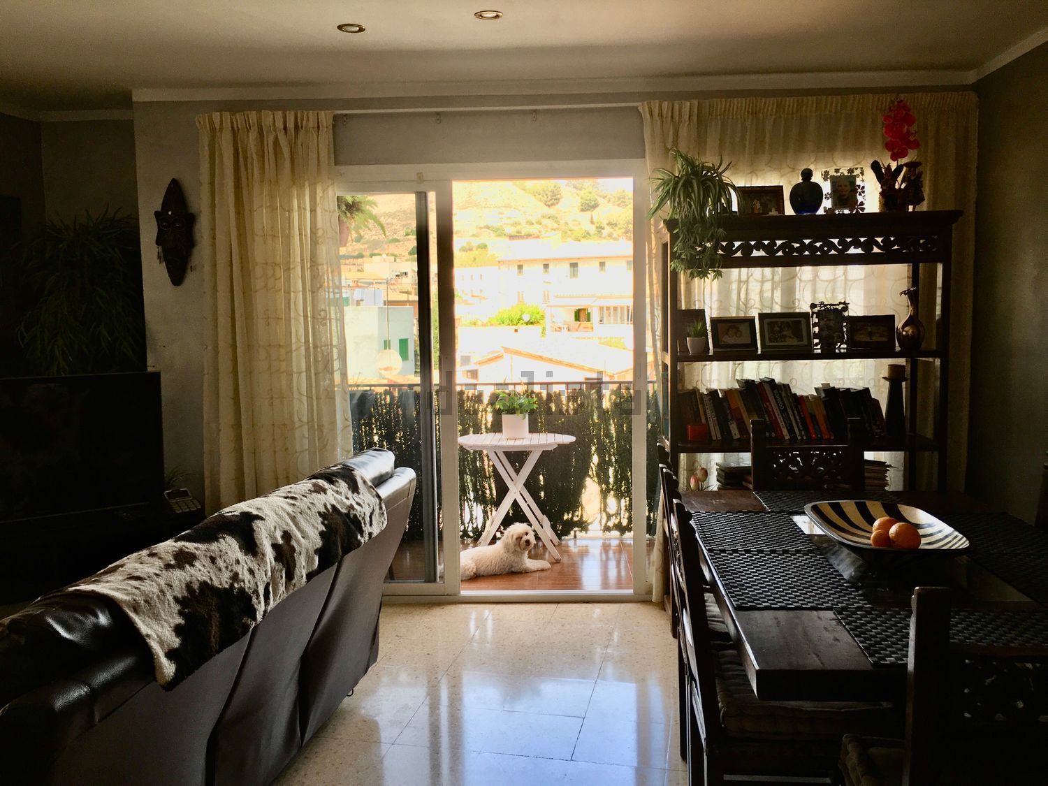 Habitació de lloguer, Palma