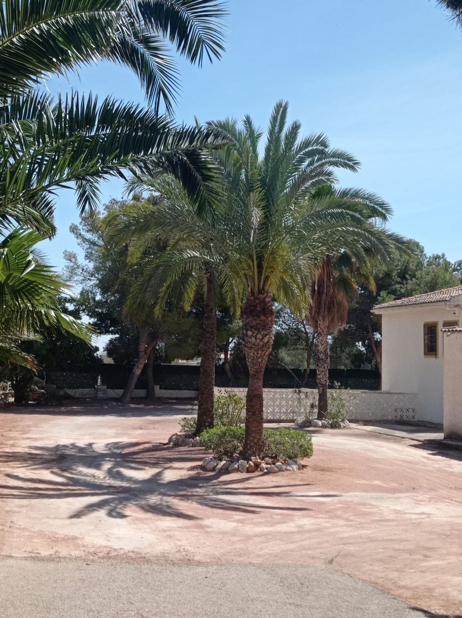 Casa de 350 m² en Crevillent