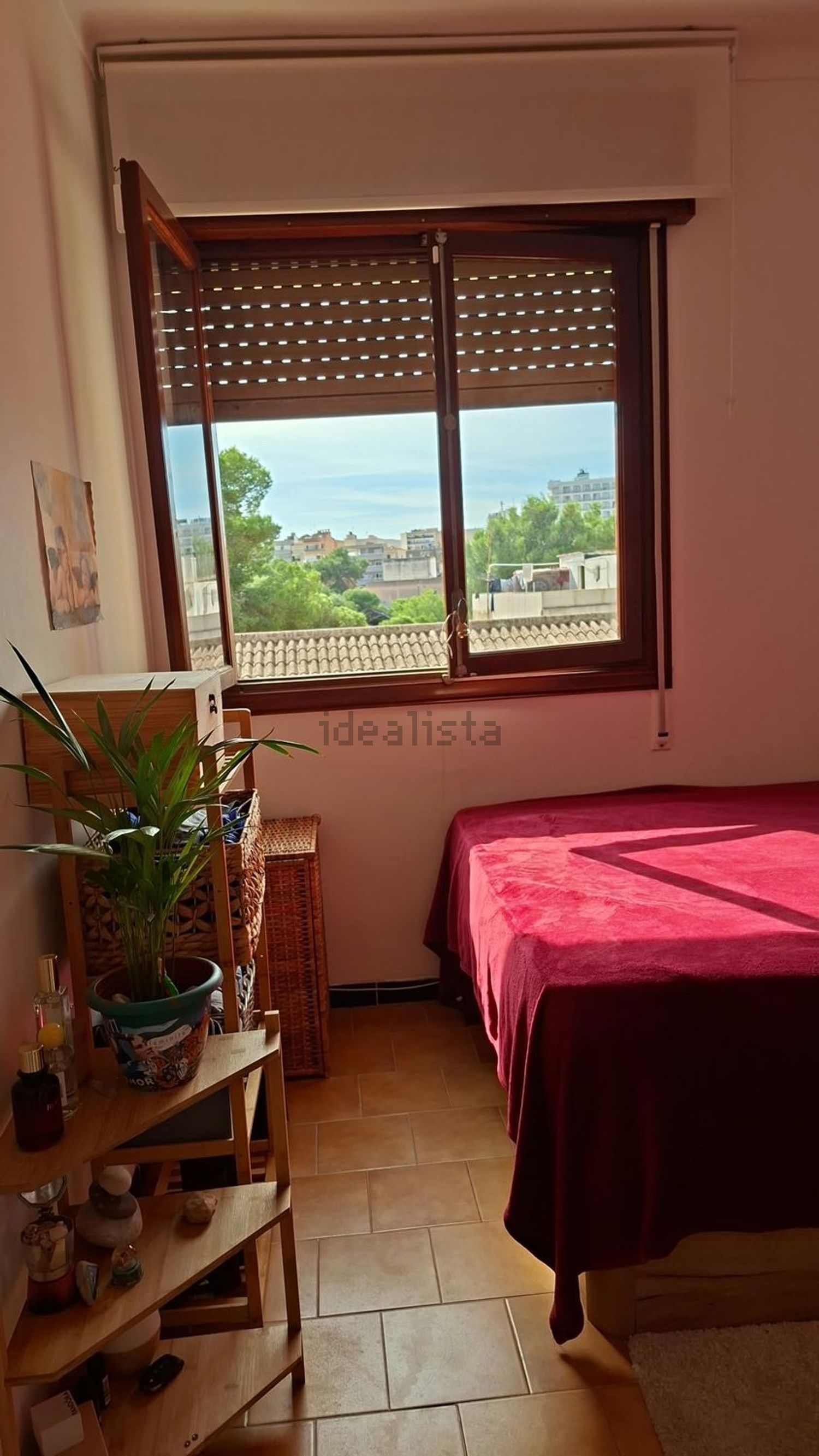 Habitació de lloguer, Palma