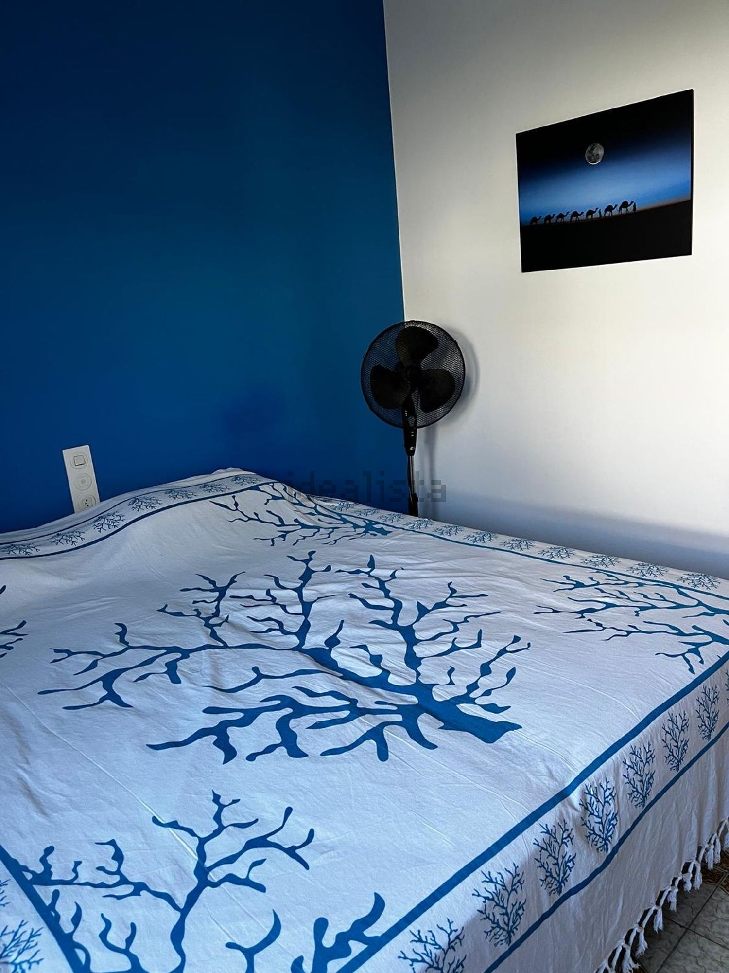Casa 216 m² a Oliva
