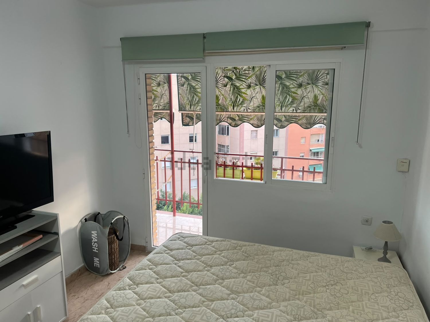 Habitació de lloguer, Alacant