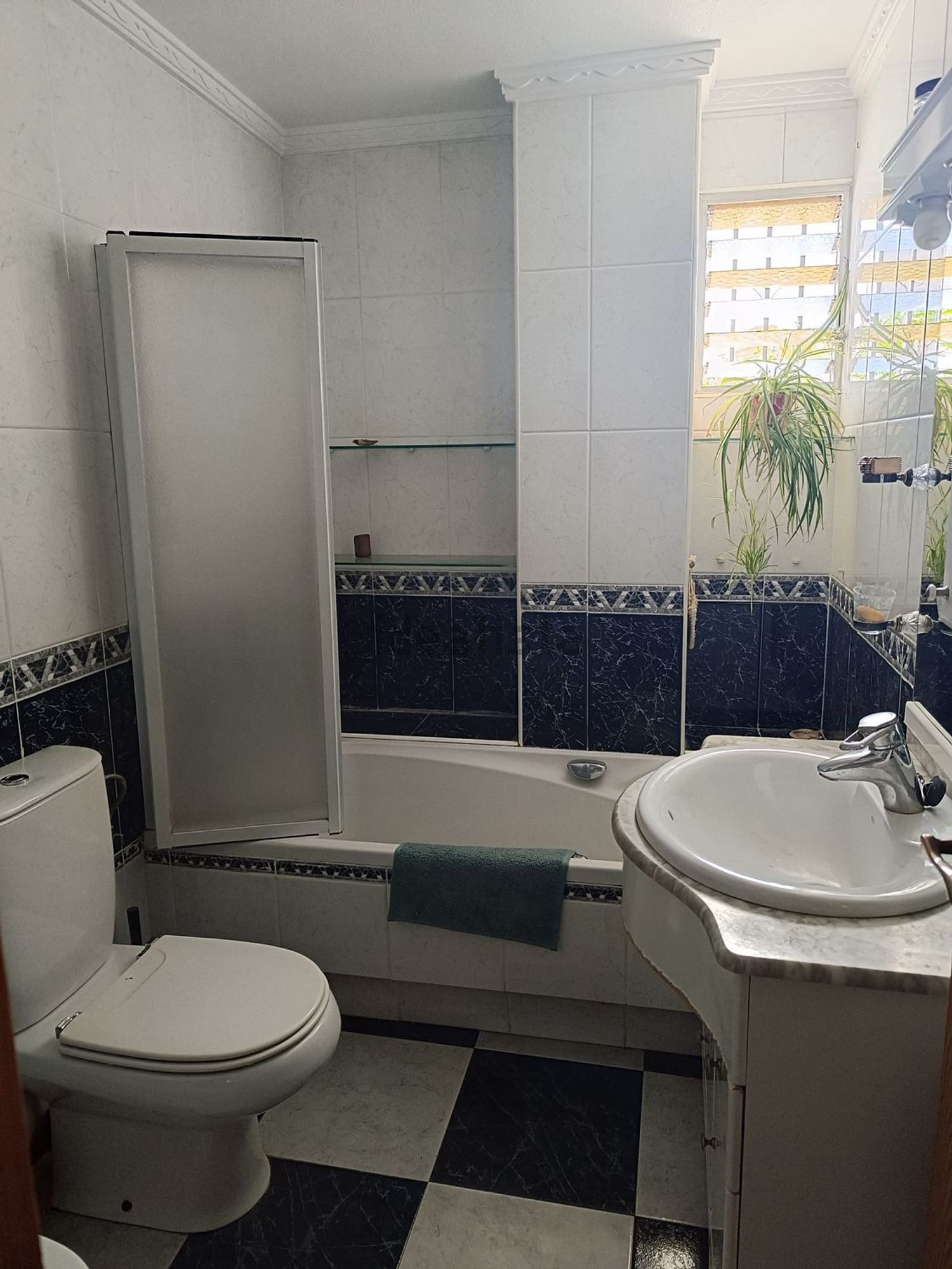 Habitació de lloguer, Múrcia