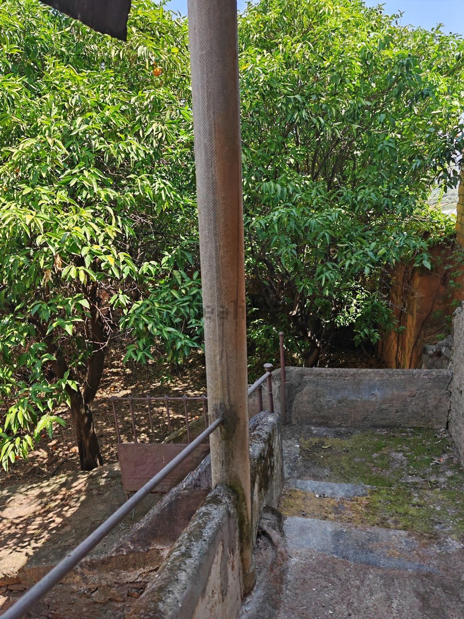 Habitació de lloguer, Alcuéscar